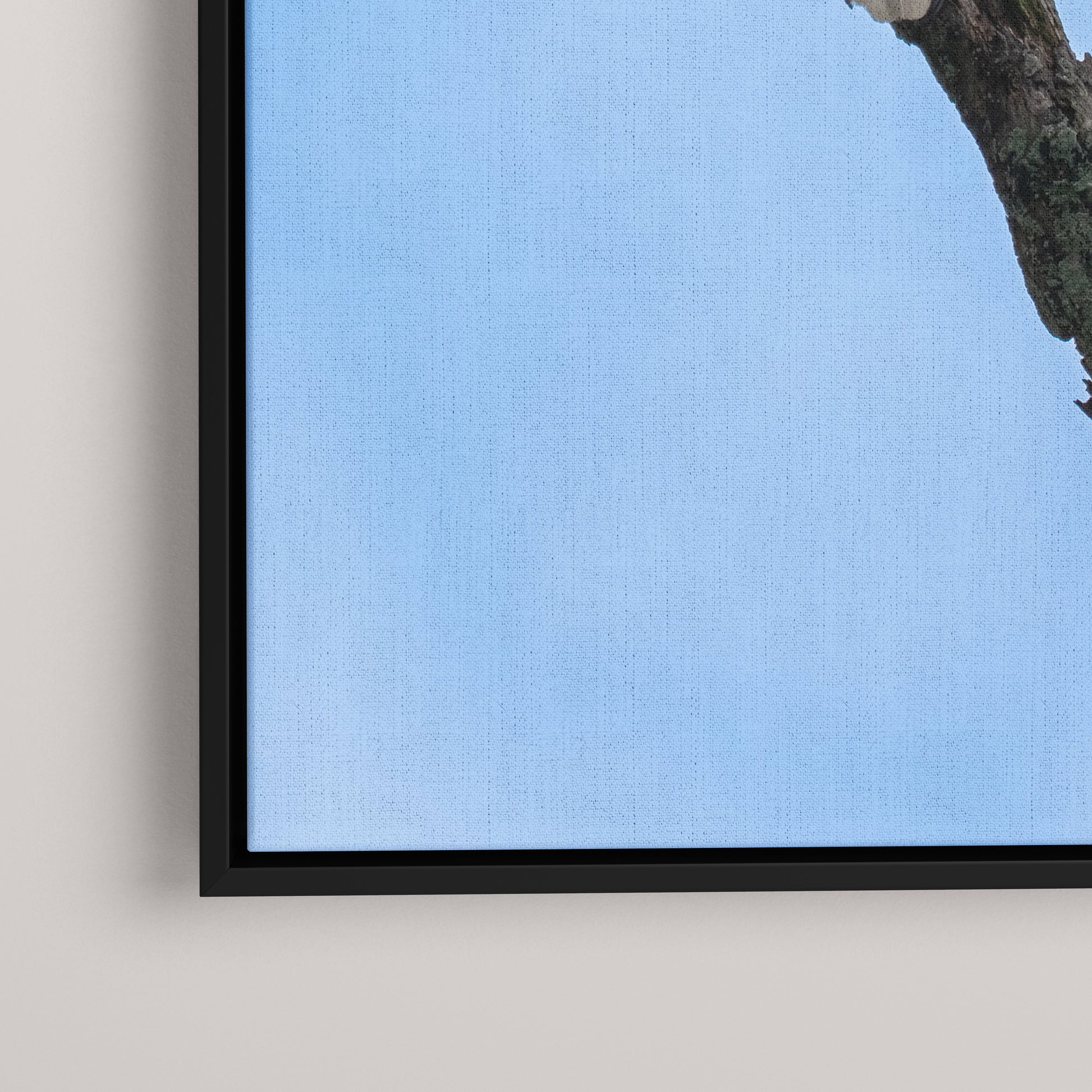 Eagle's Pride — closeup1-black view
