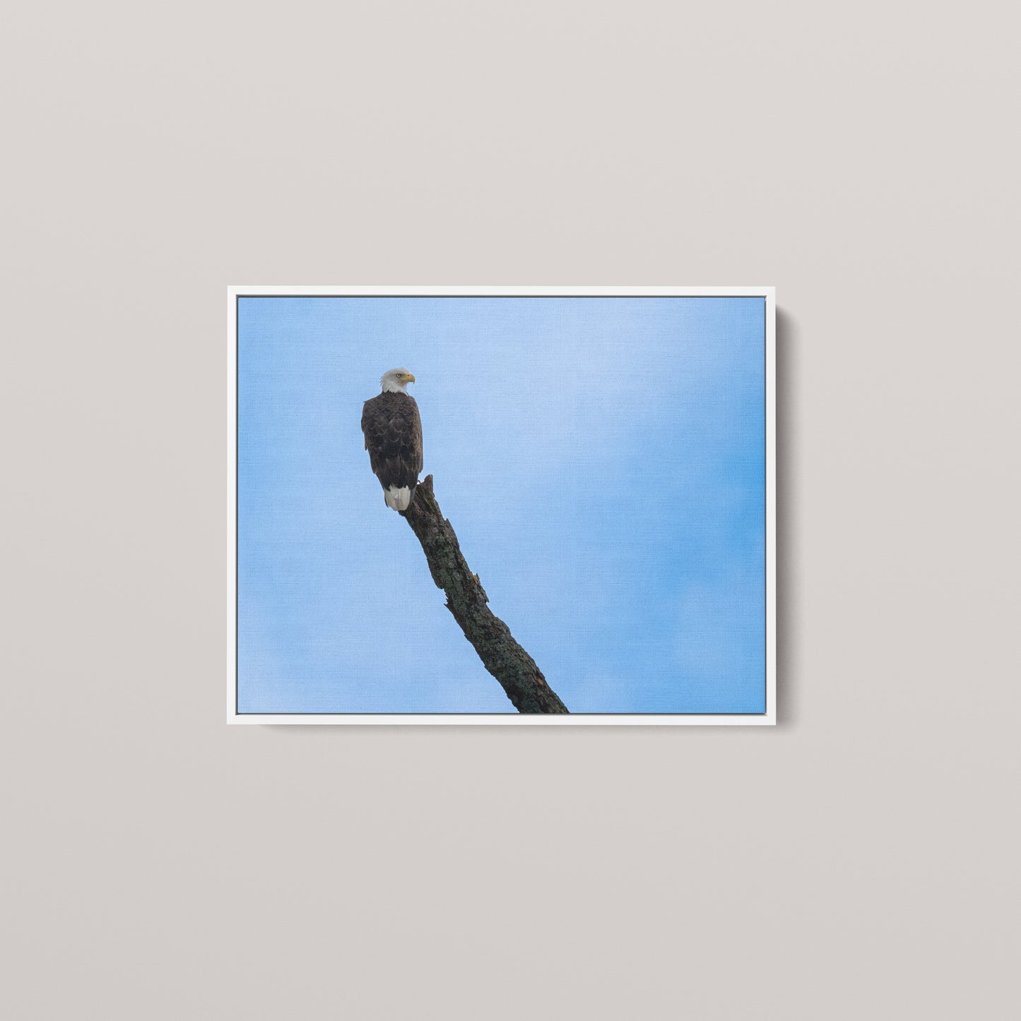 Eagle's Pride — White framed canvas mockup