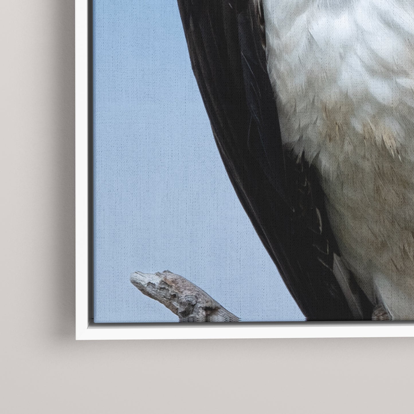 Eye Contact — closeup1-white view
