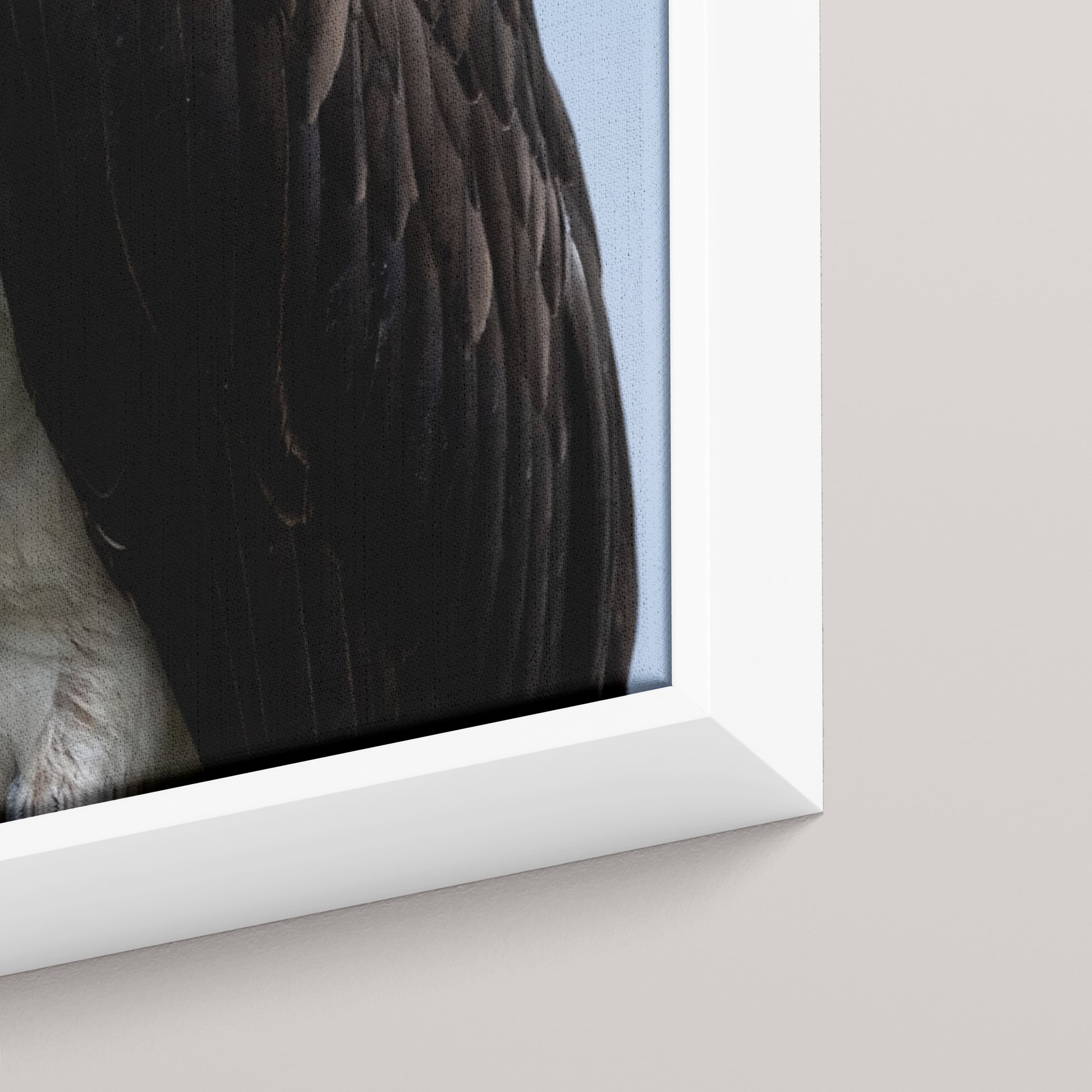 Eye Contact — closeup3-white view