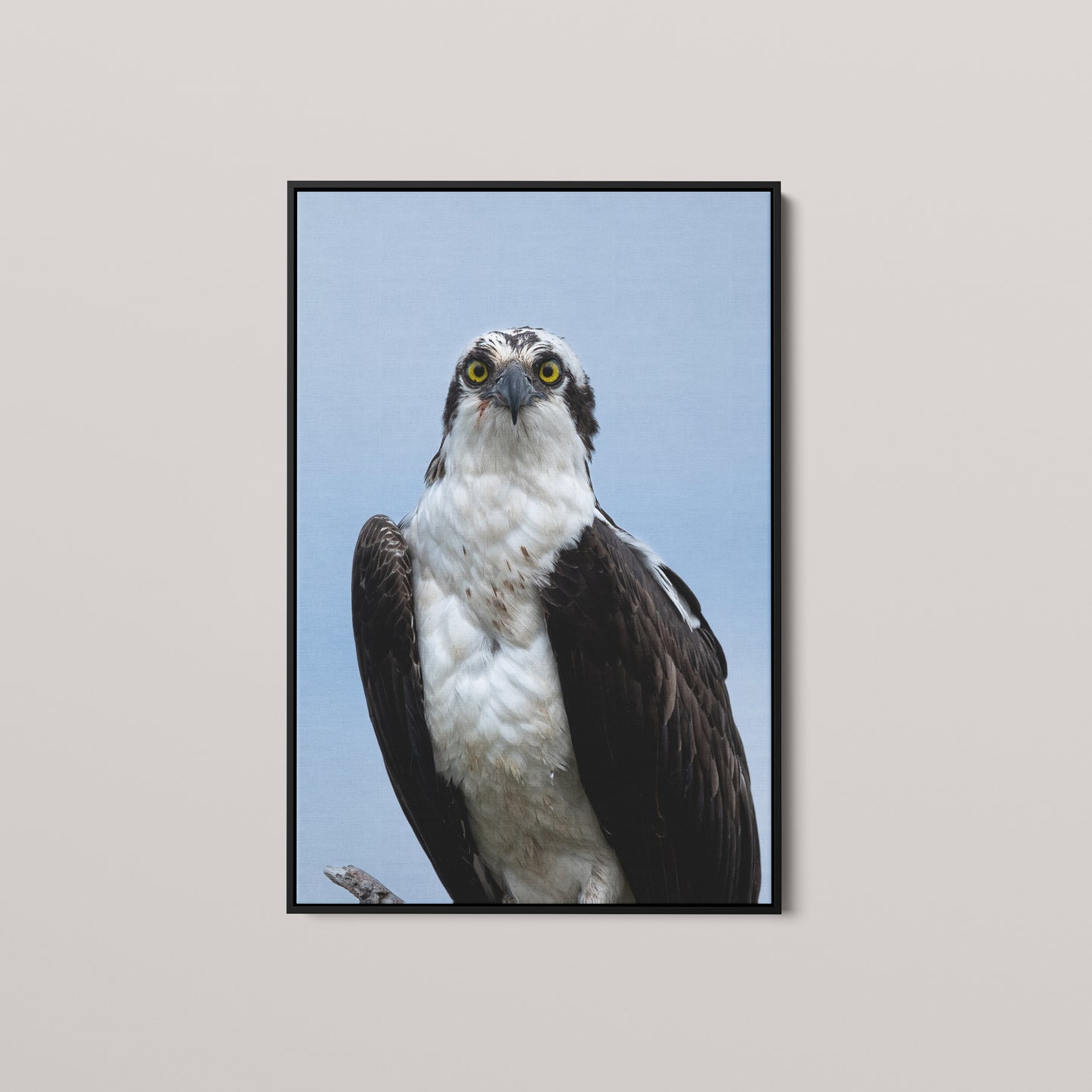 Eye Contact — Black framed canvas mockup