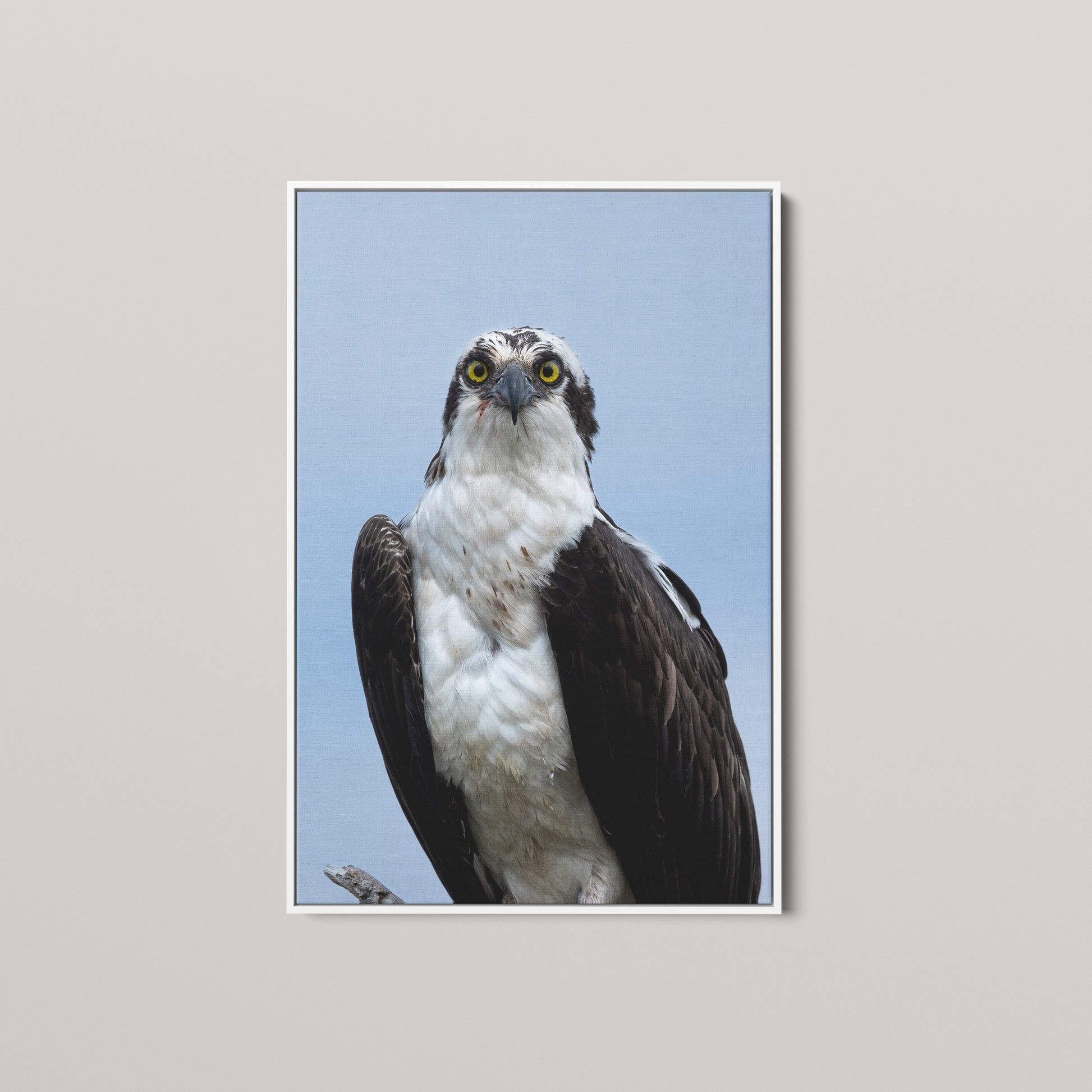 Eye Contact — White framed canvas mockup