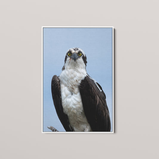 Eye Contact — White framed canvas mockup