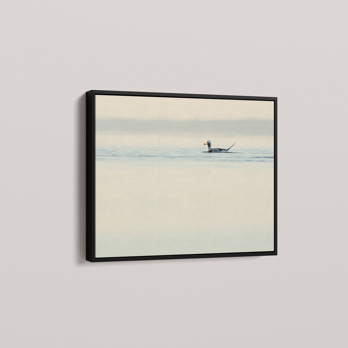 Longtail High Key — angled-black view