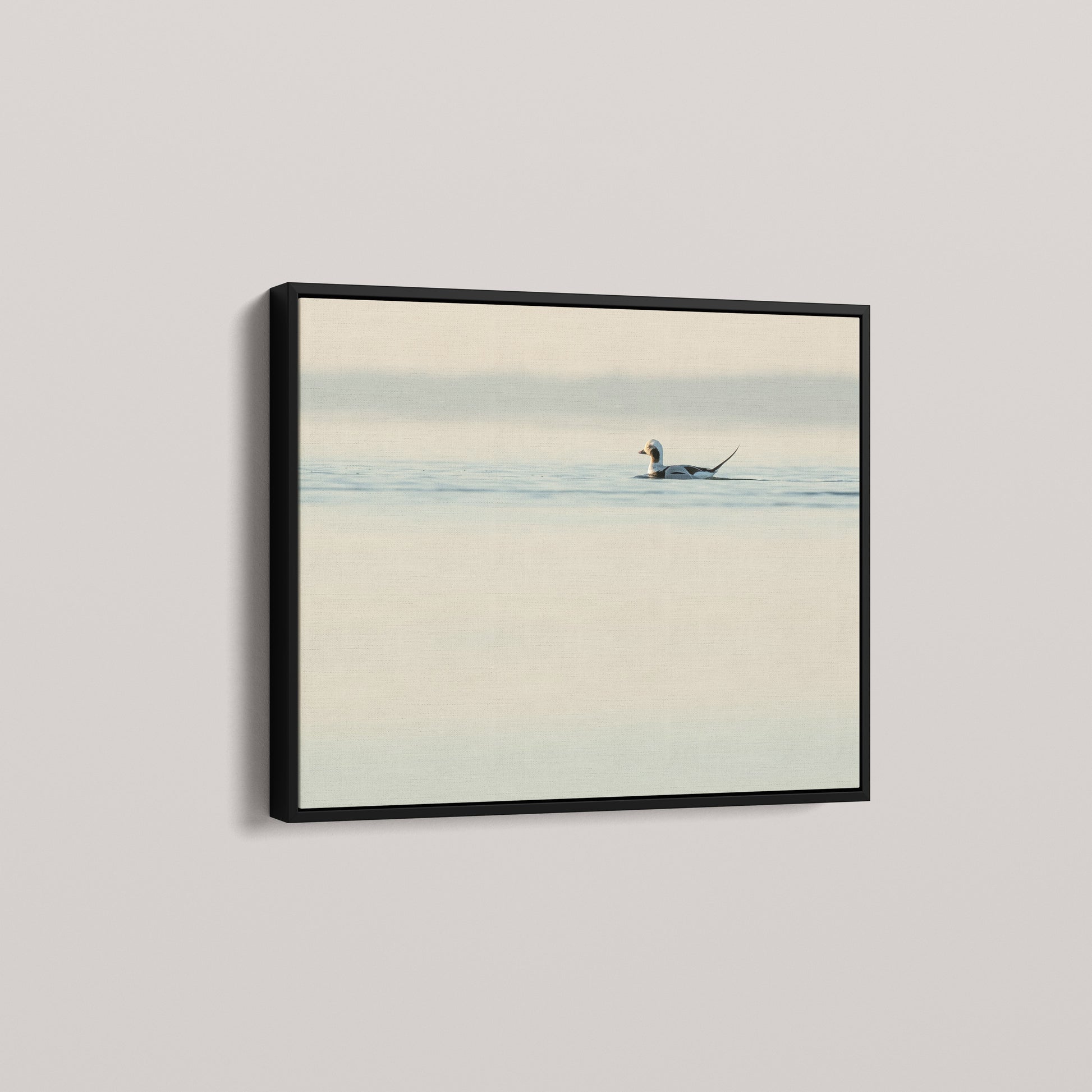 Longtail High Key — angled-black view