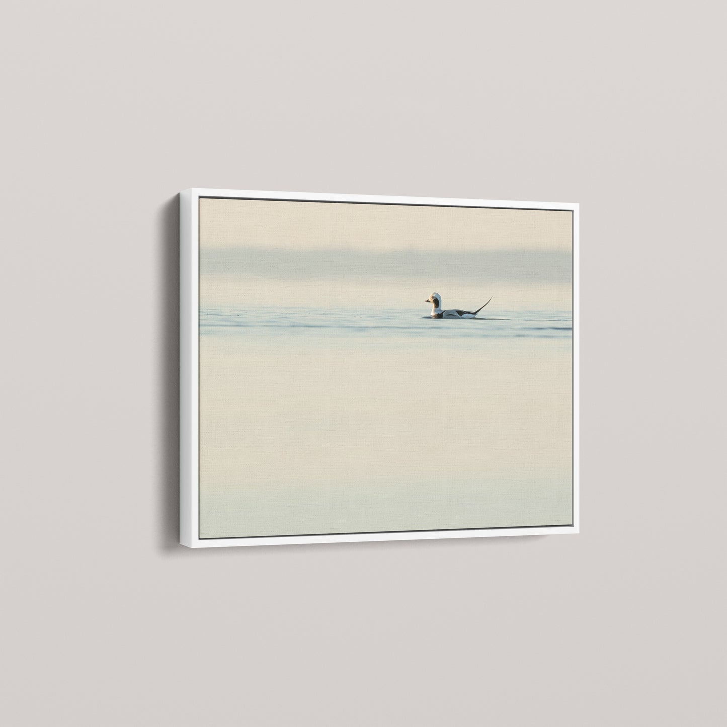 Longtail High Key — angled-white view