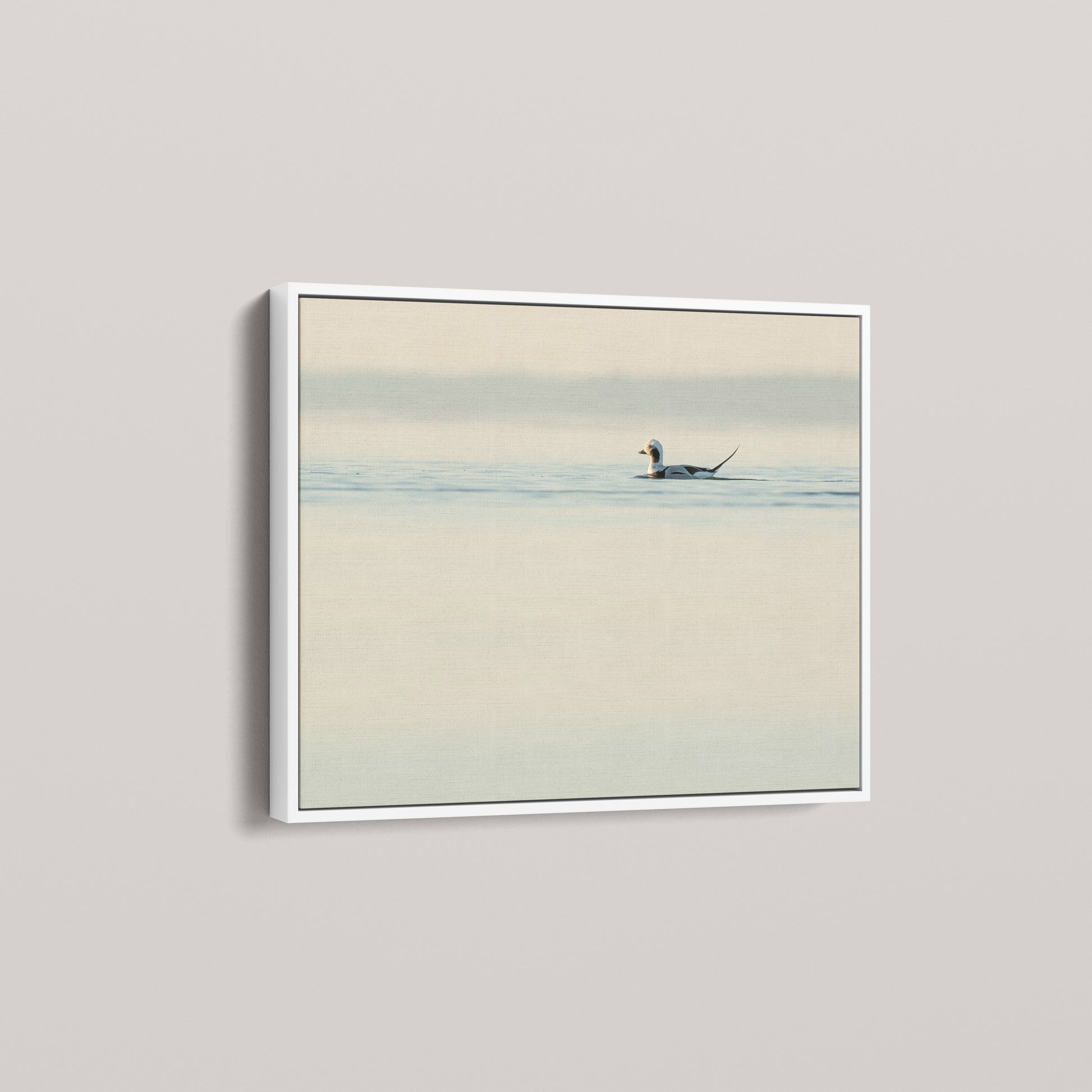 Longtail High Key — angled-white view