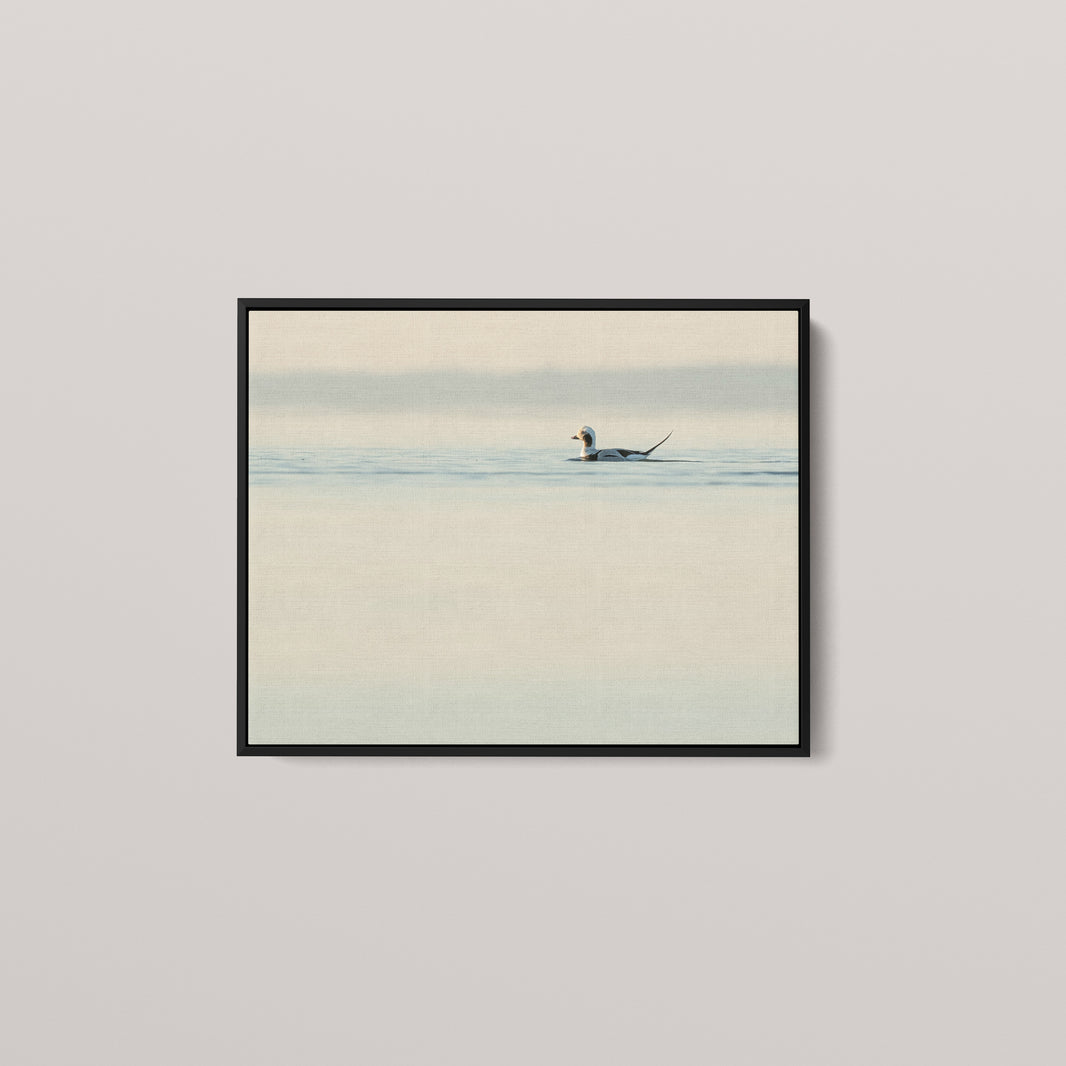 Longtail High Key — Black framed canvas mockup