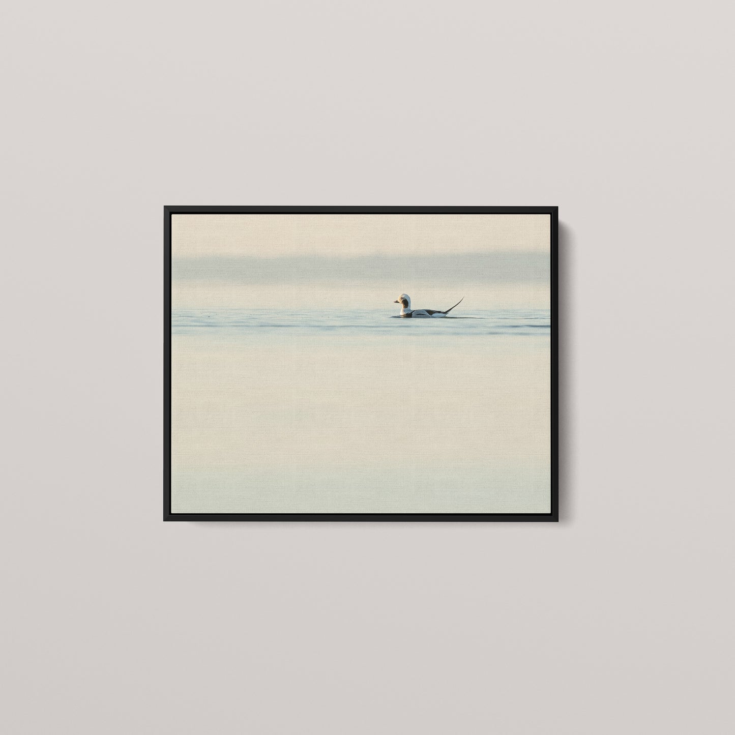 Longtail High Key — Black framed canvas mockup