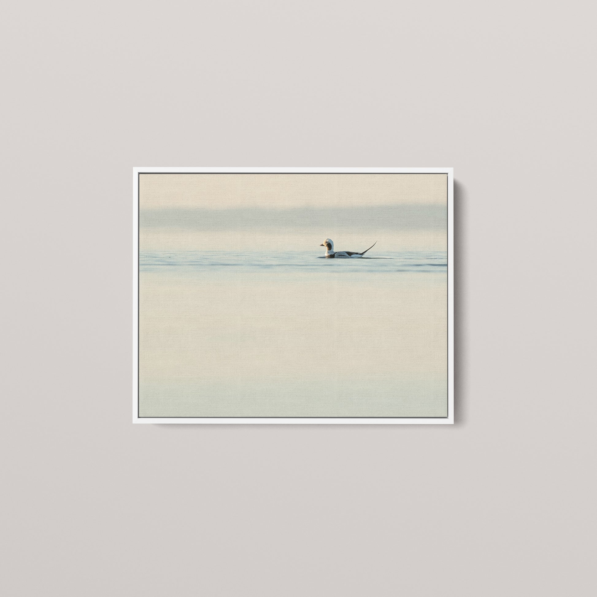 Longtail High Key — White framed canvas mockup