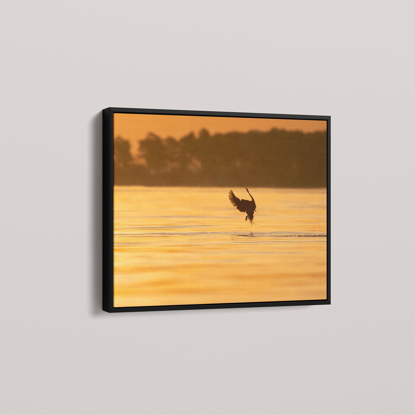 Longtail Sunrise — angled-black view