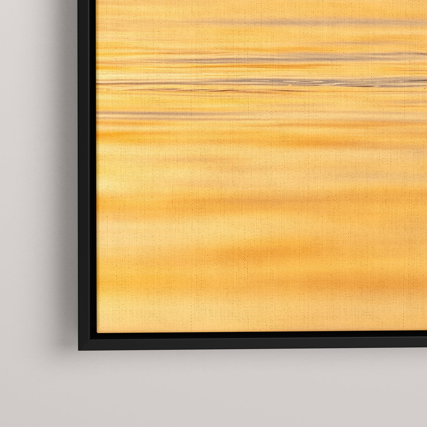 Longtail Sunrise — closeup1-black view