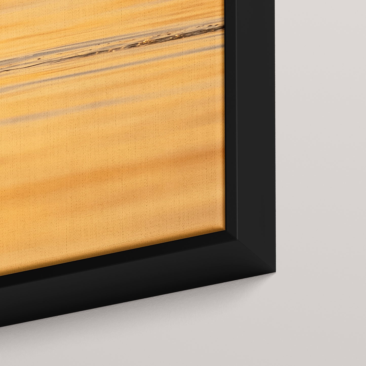 Longtail Sunrise — closeup3-black view