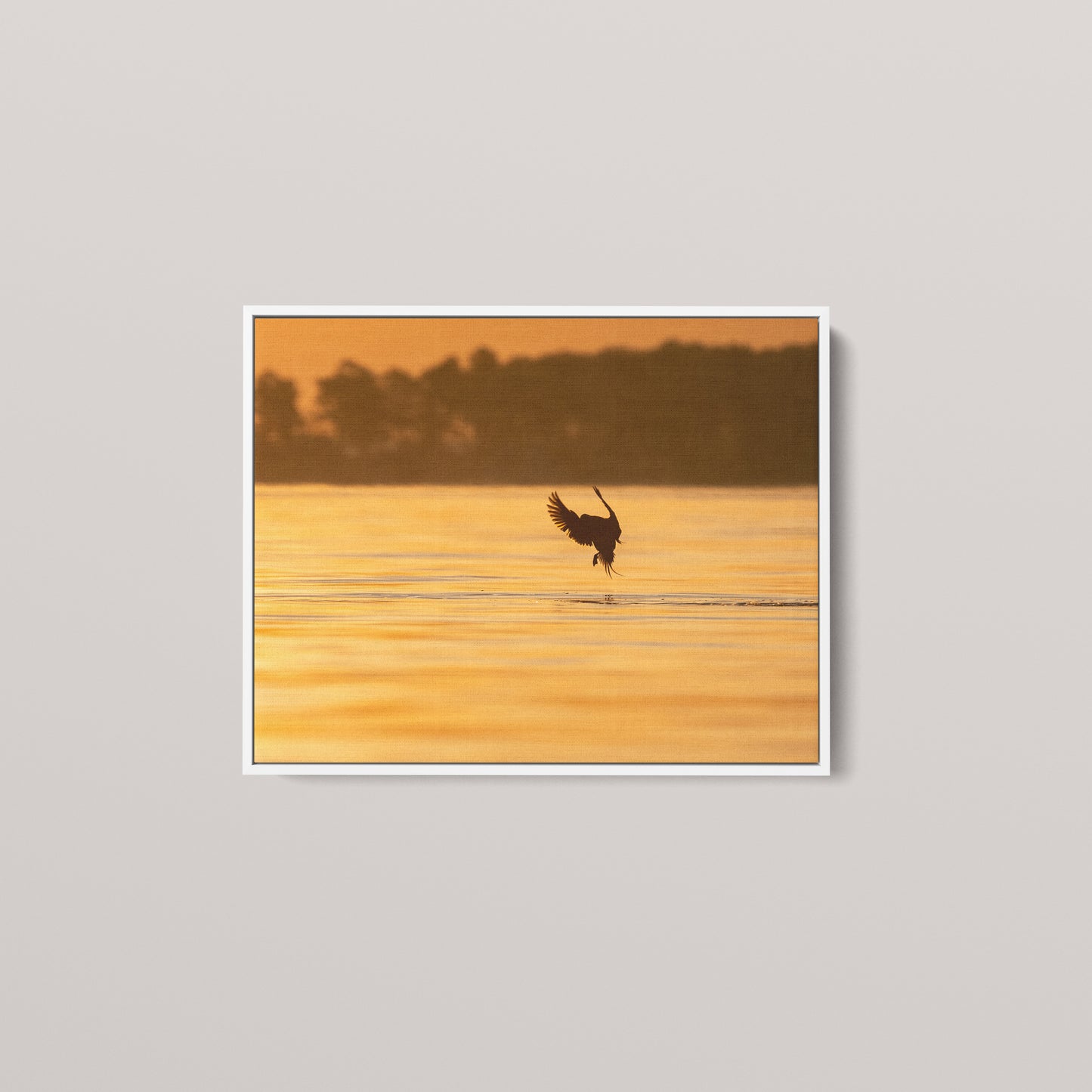 Longtail Sunrise — White framed canvas mockup
