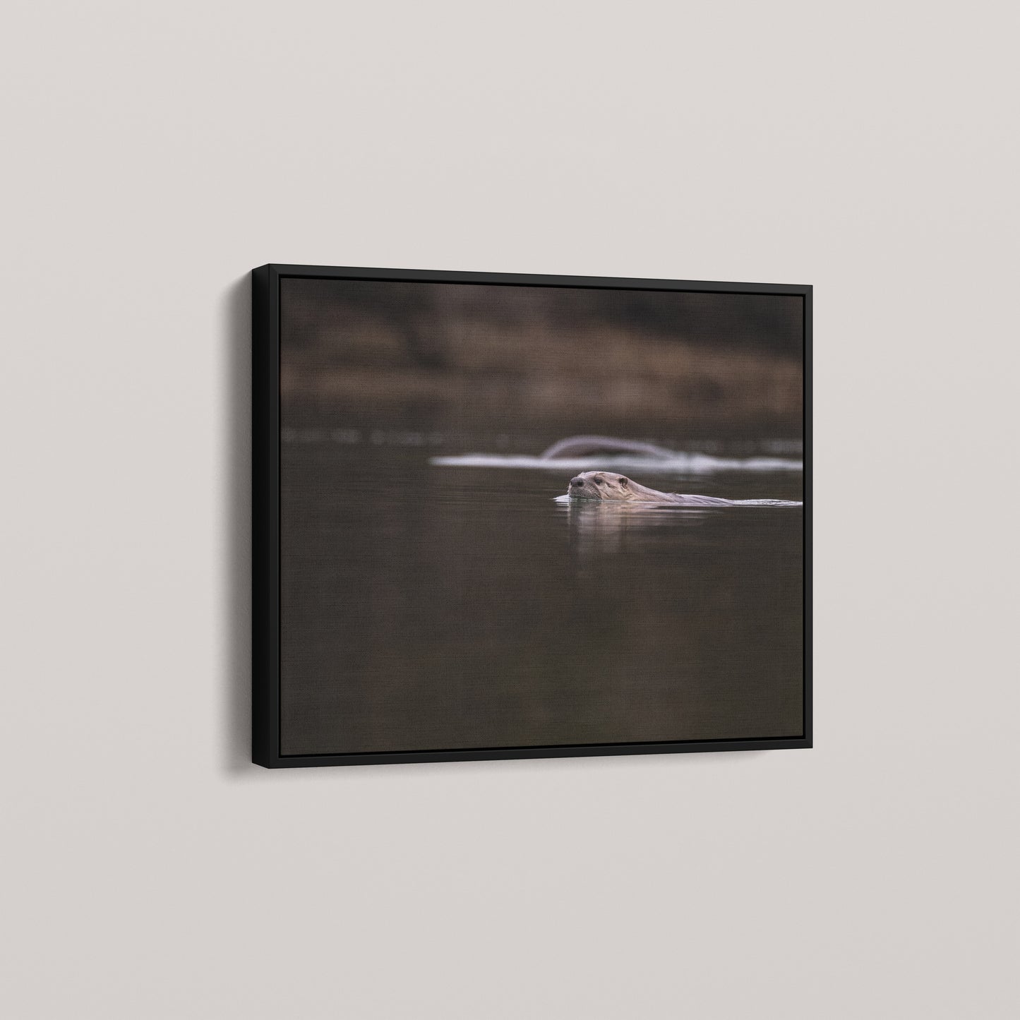 Otter Creek — angled-black view