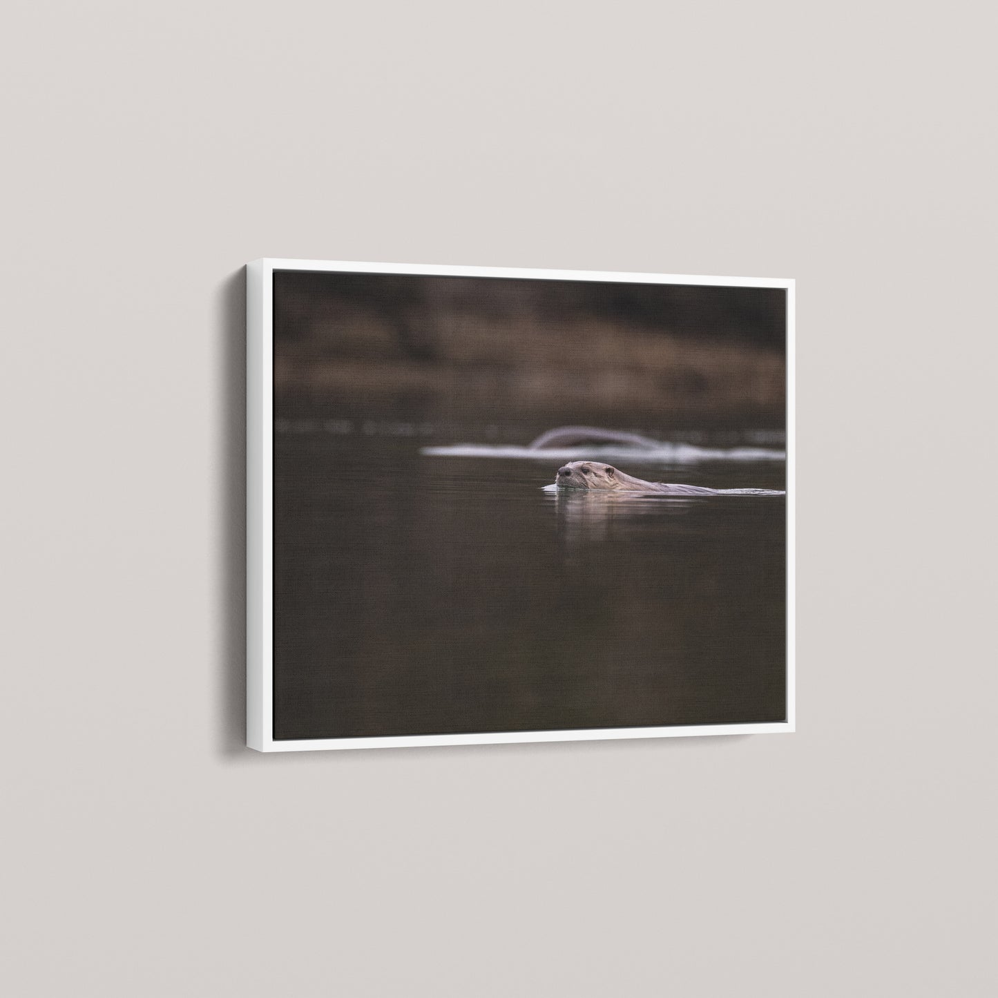 Otter Creek — angled-white view