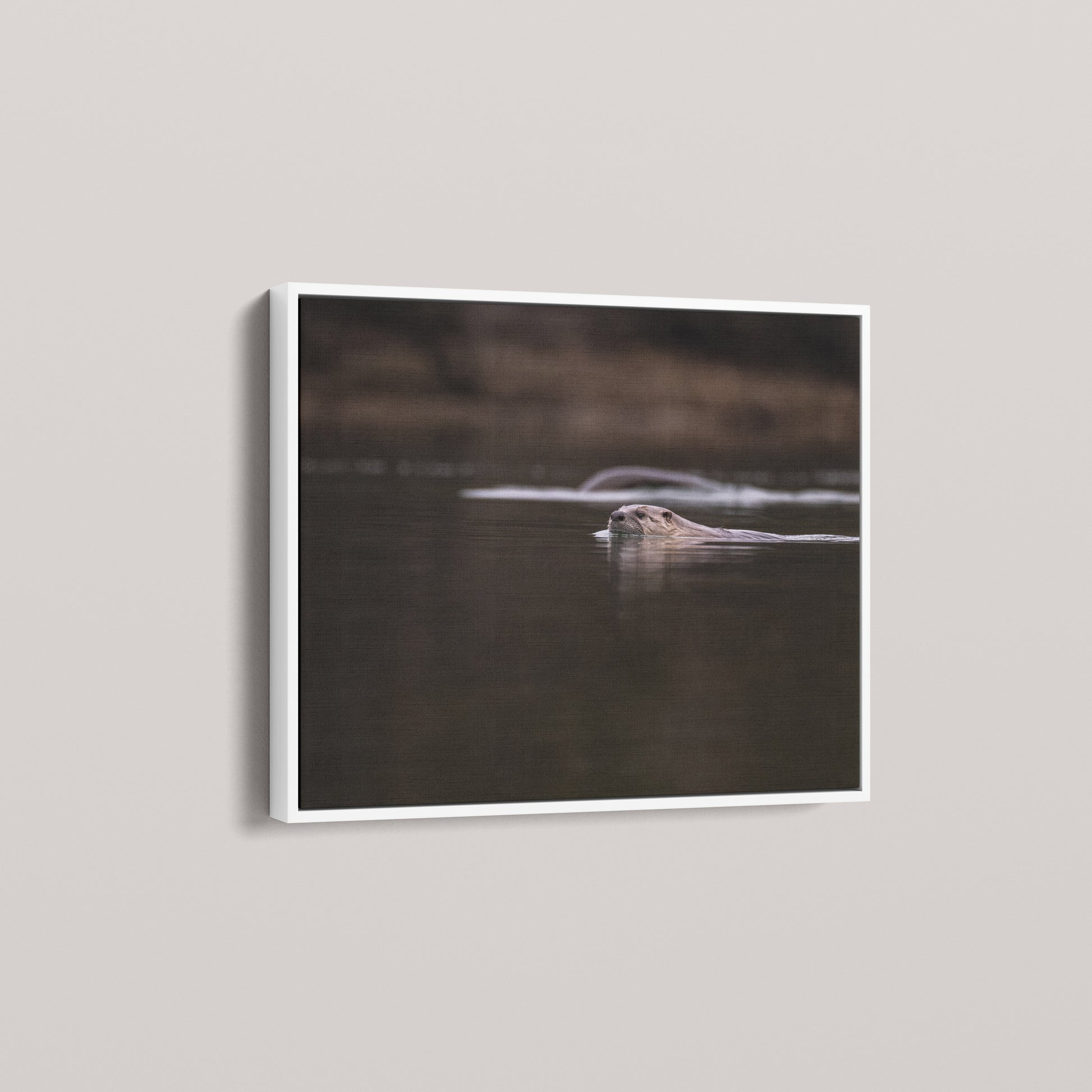 Otter Creek — angled-white view