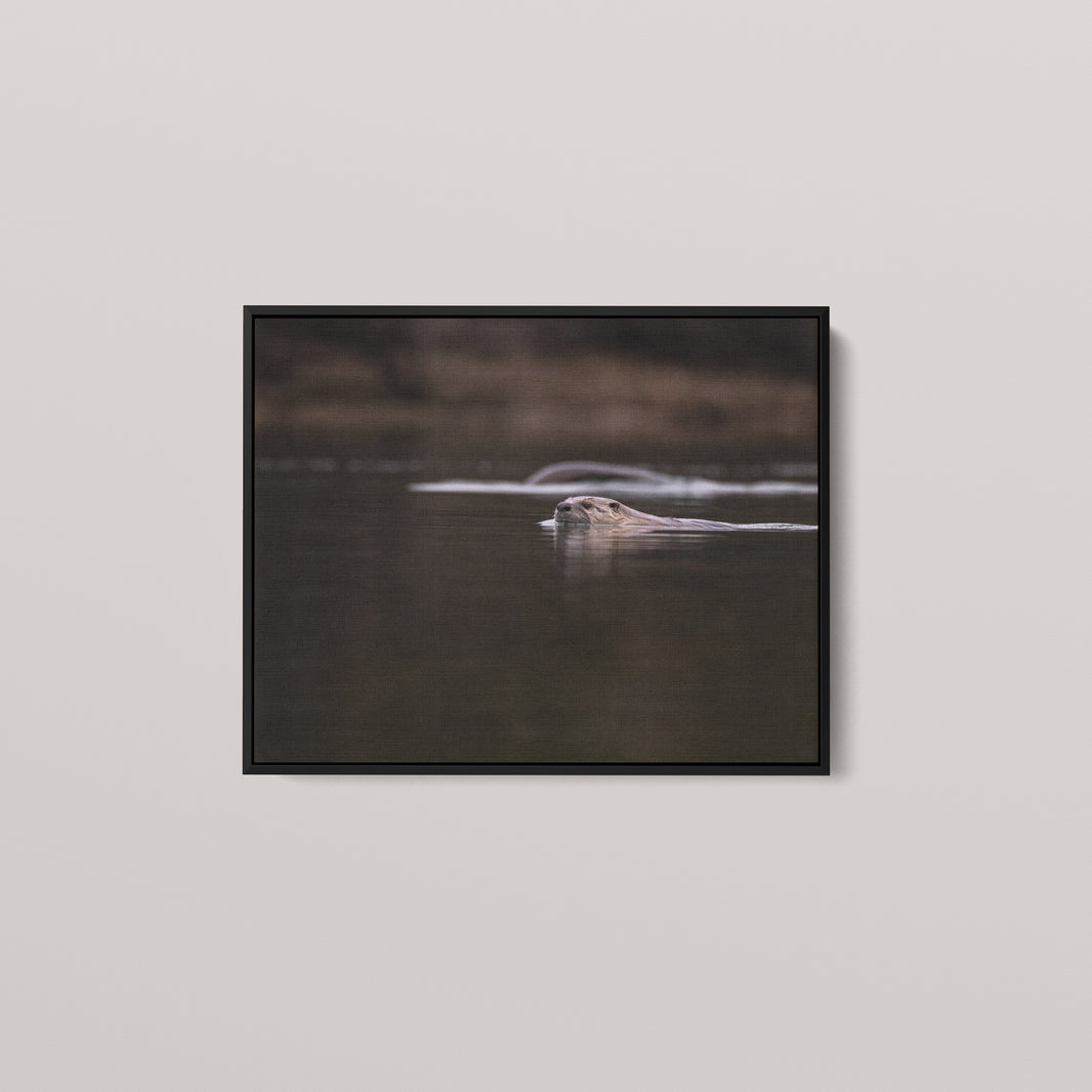 Otter Creek — Black framed canvas mockup