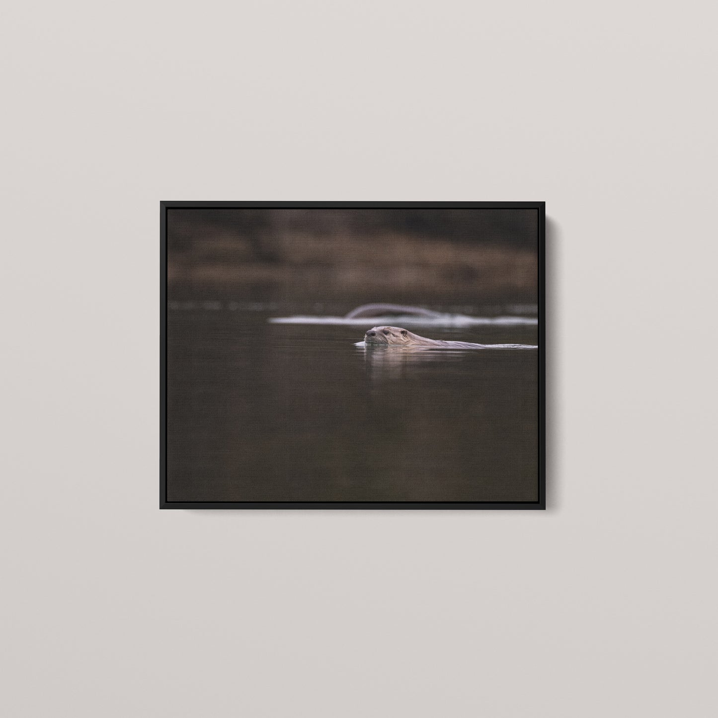 Otter Creek — Black framed canvas mockup