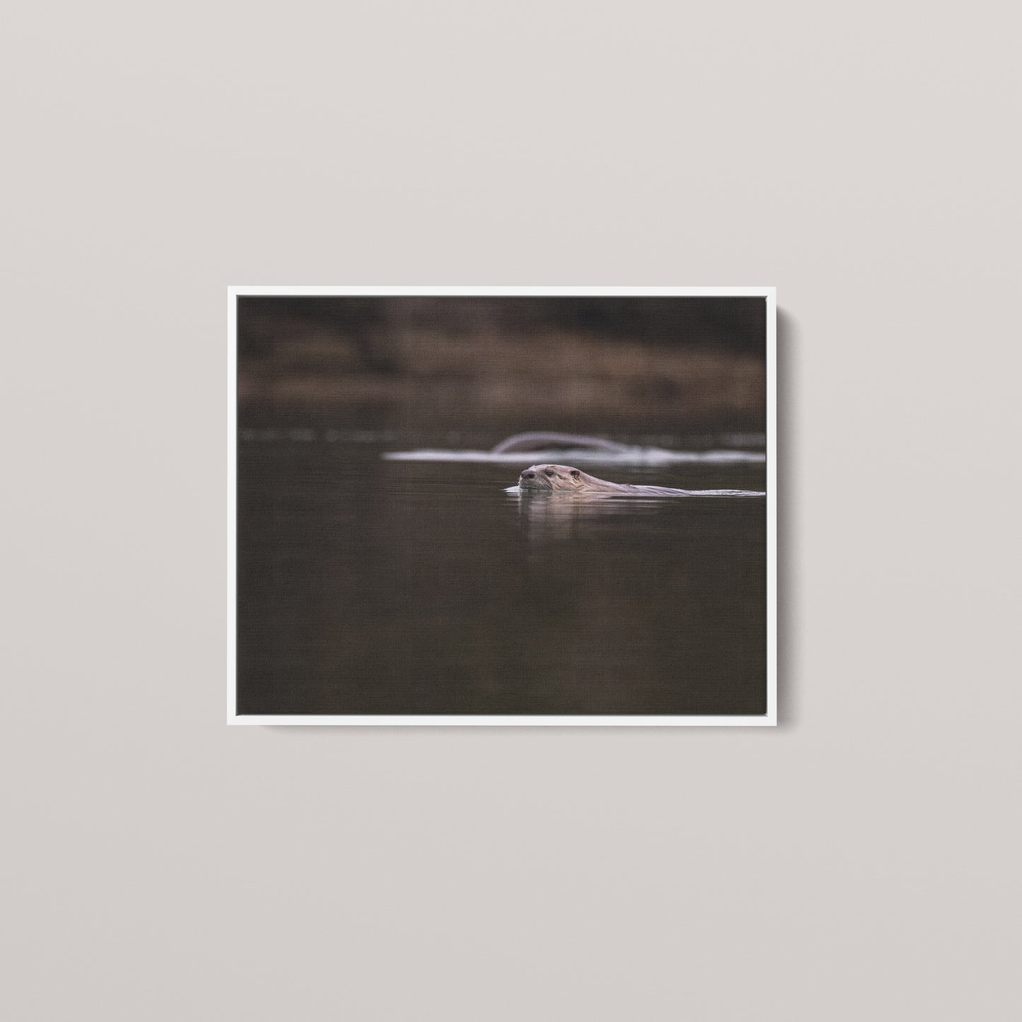 Otter Creek — White framed canvas mockup