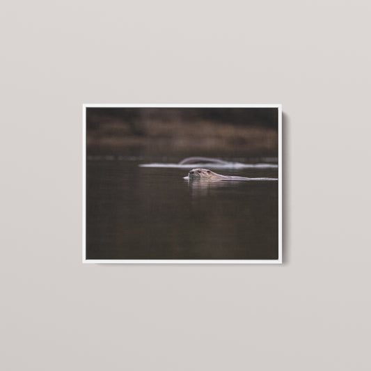 Otter Creek — White framed canvas mockup