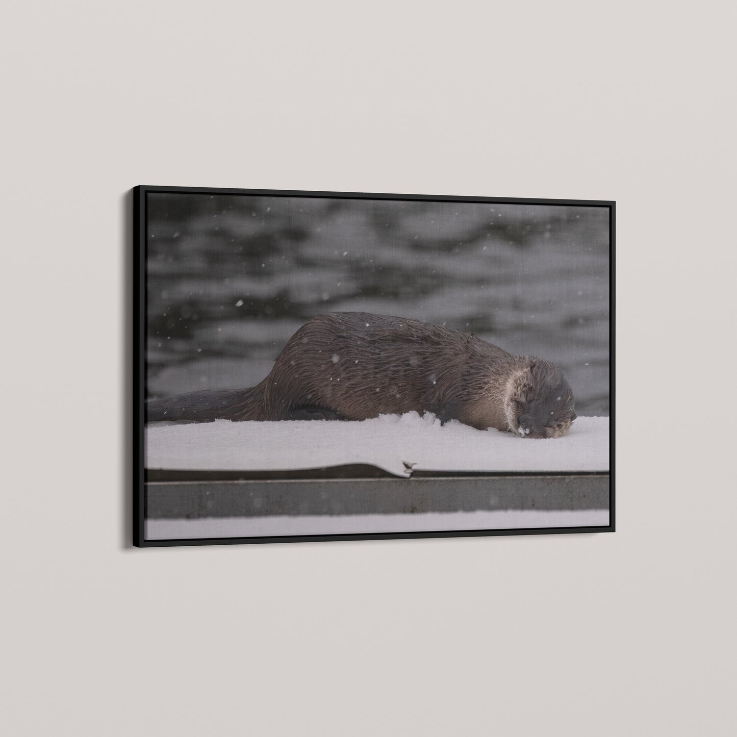 Otter Snow Nap — angled-black view