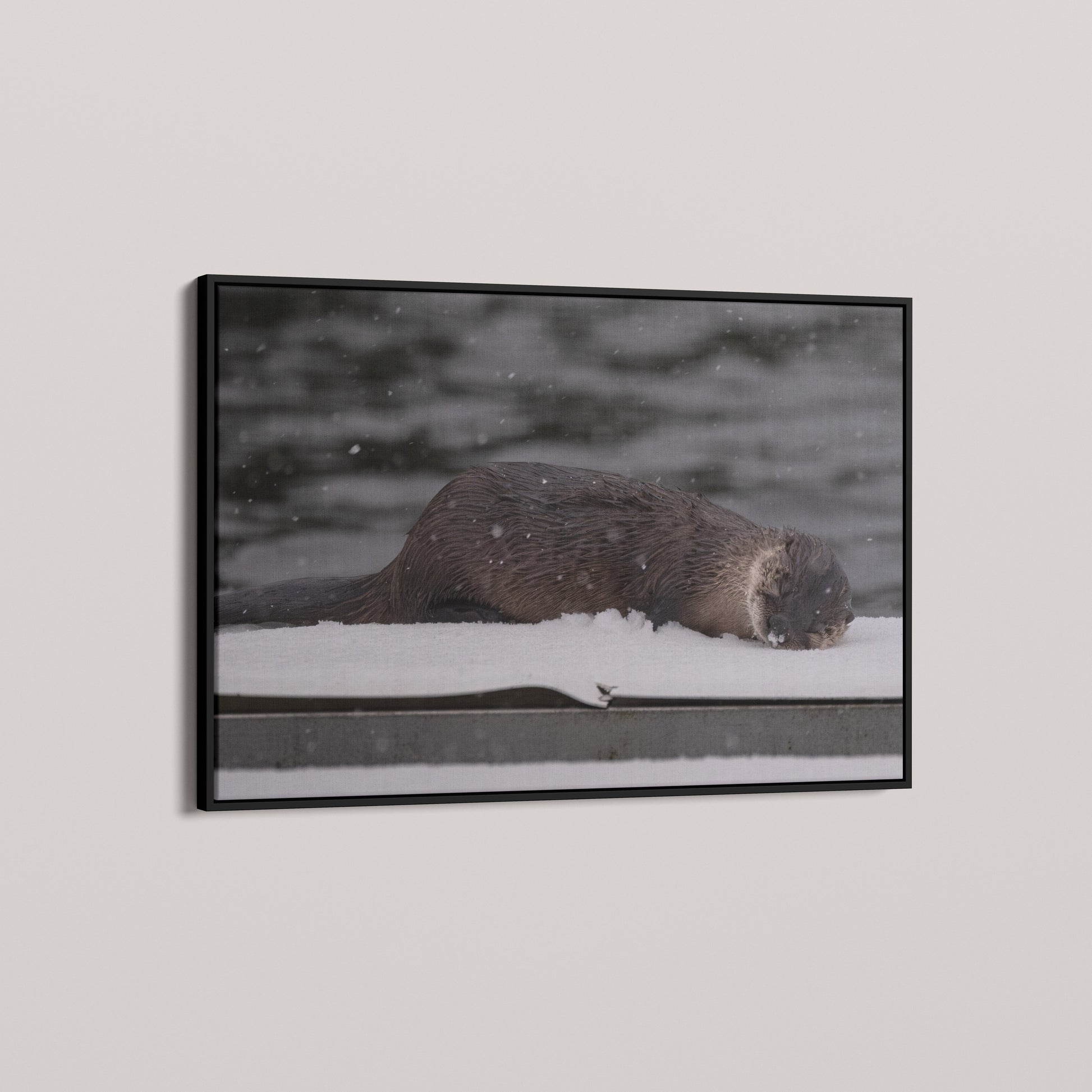 Otter Snow Nap — angled-black view