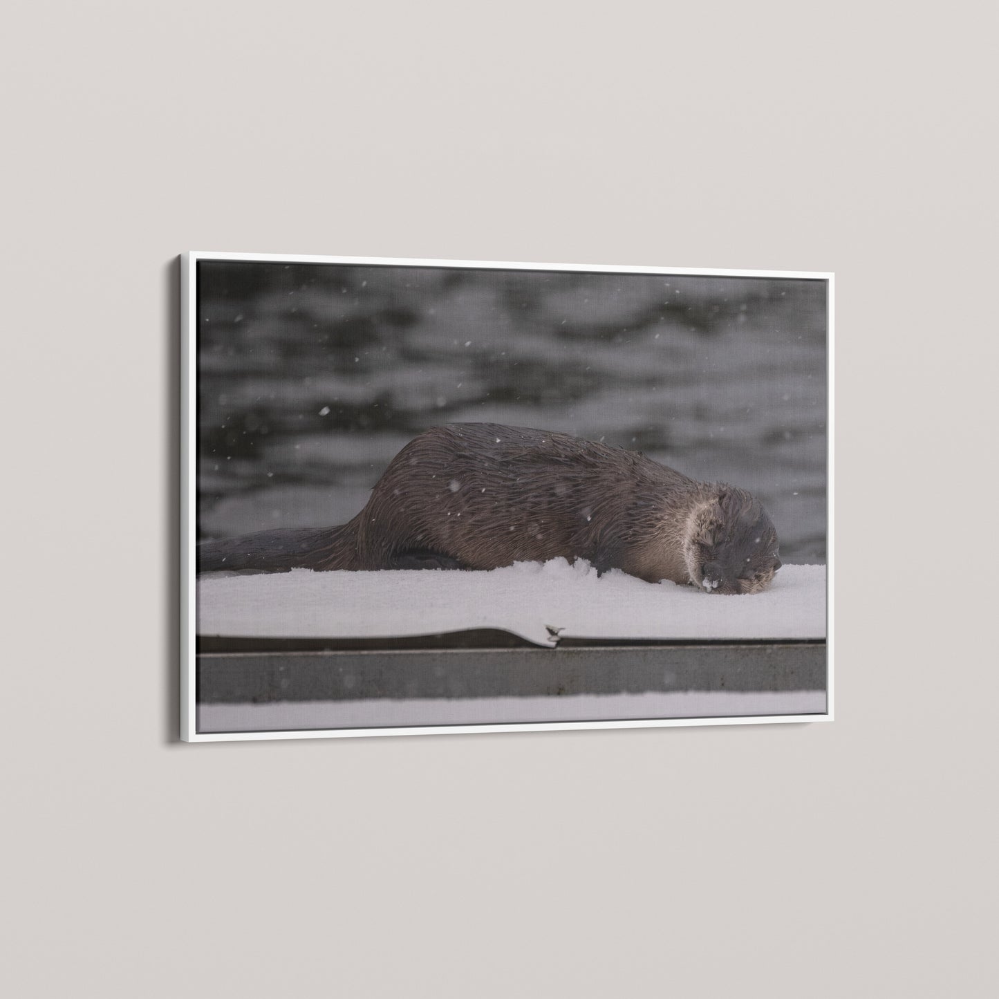 Otter Snow Nap — angled-white view