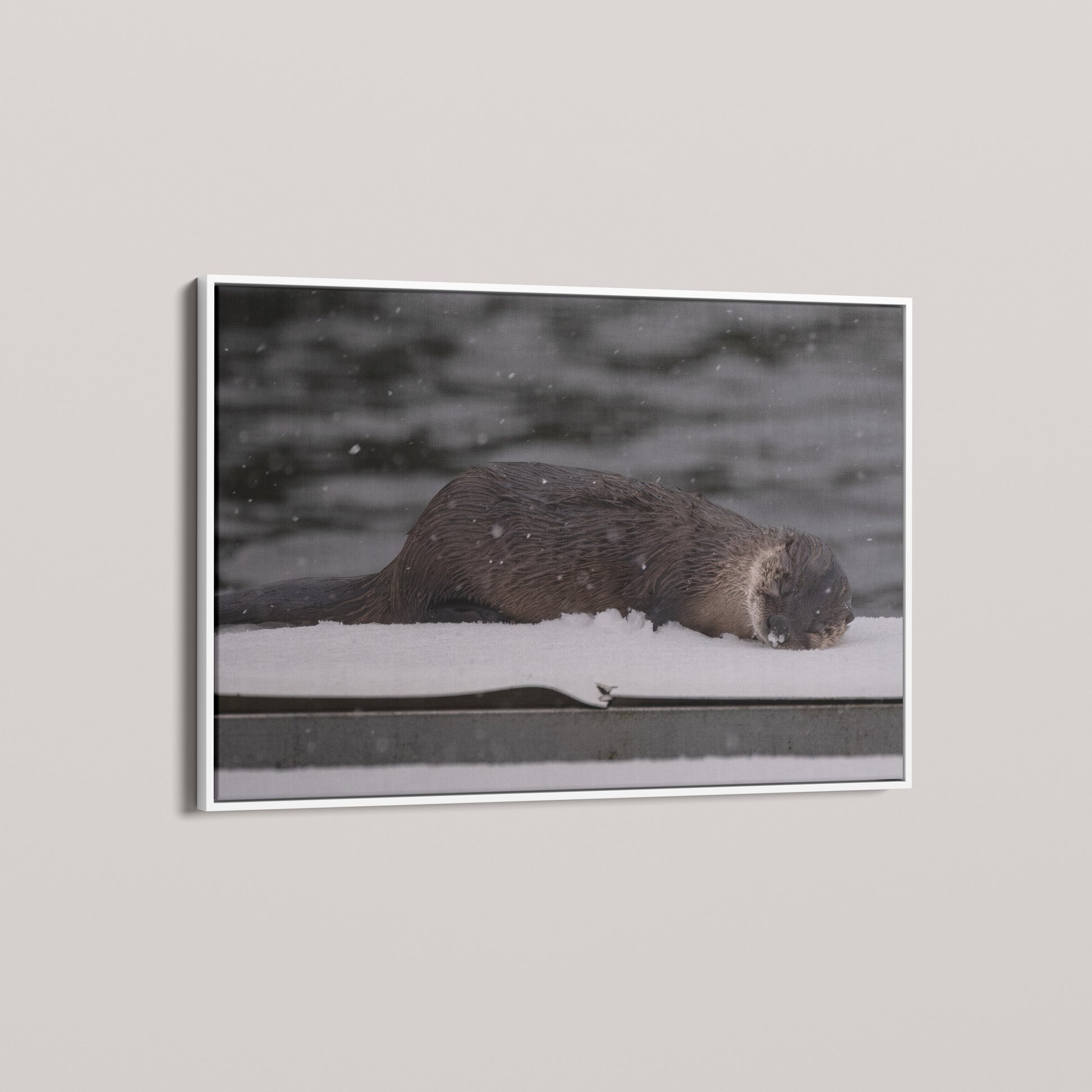 Otter Snow Nap — angled-white view