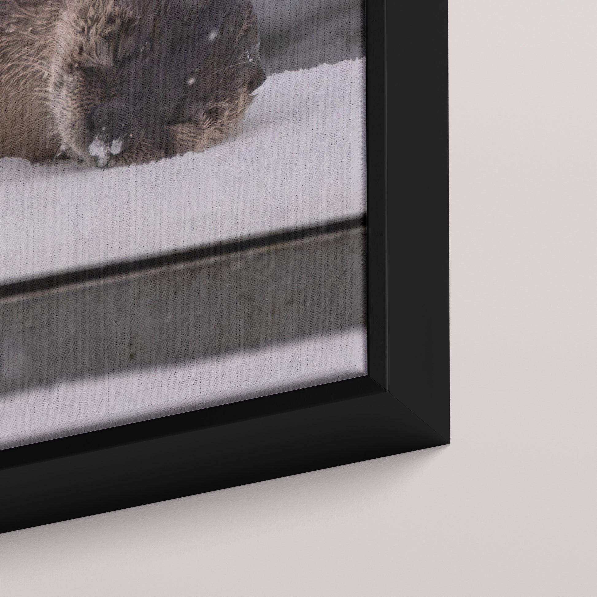 Otter Snow Nap — closeup3-black view