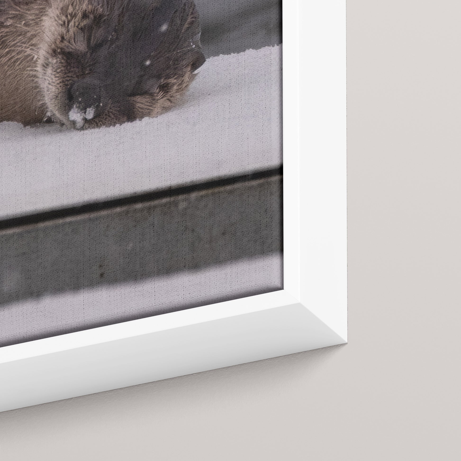 Otter Snow Nap — closeup3-white view