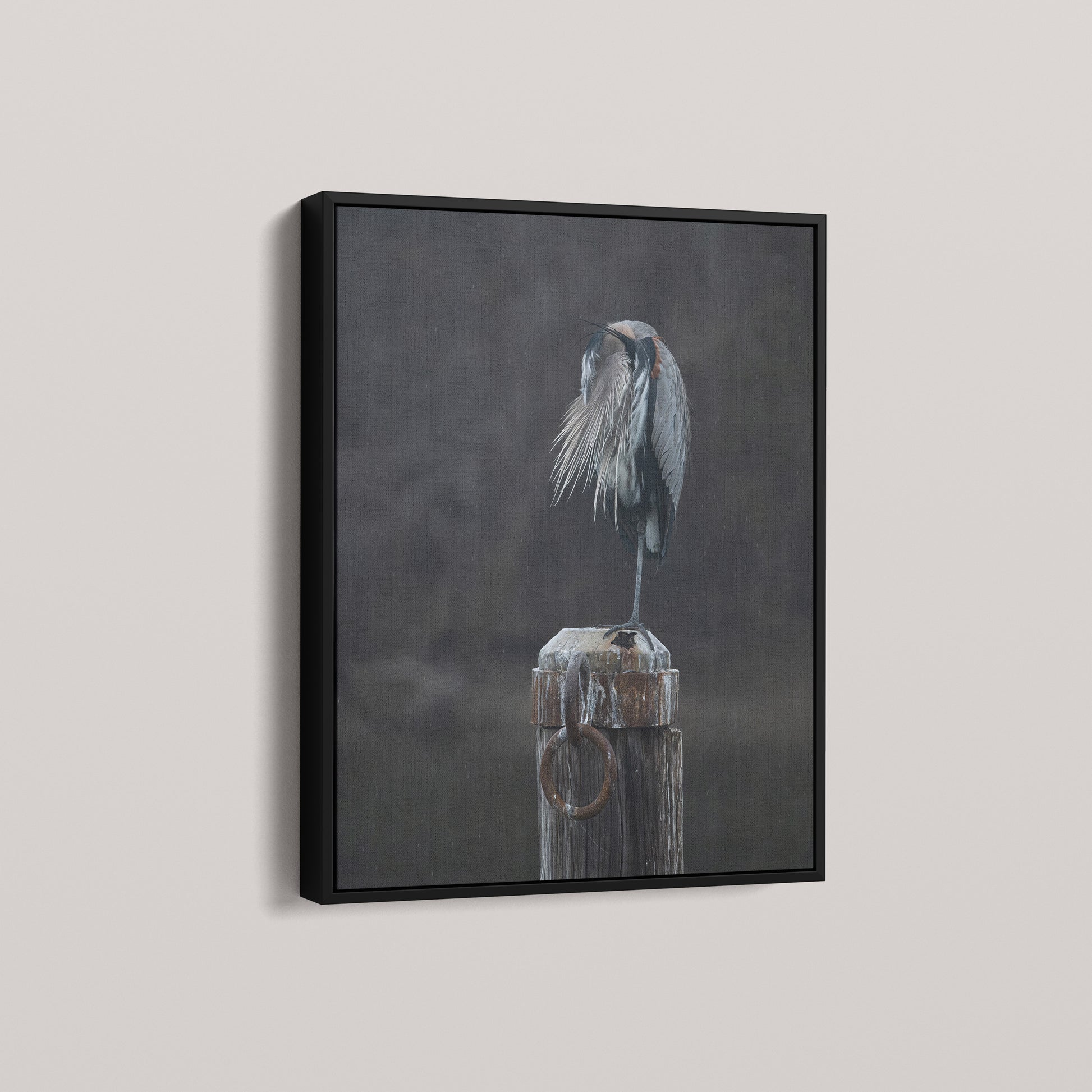 Rainy Day Heron — angled-black view