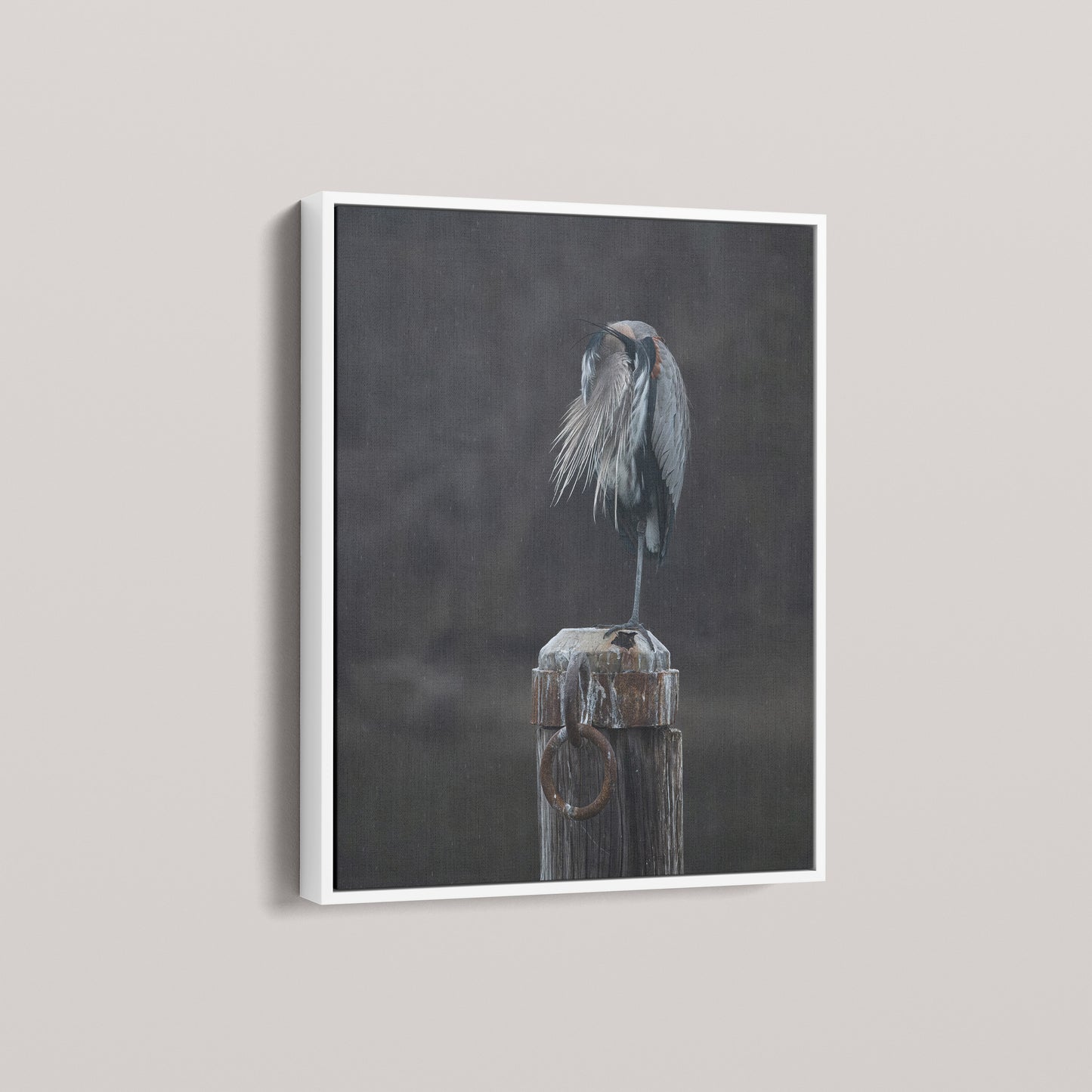 Rainy Day Heron — angled-white view
