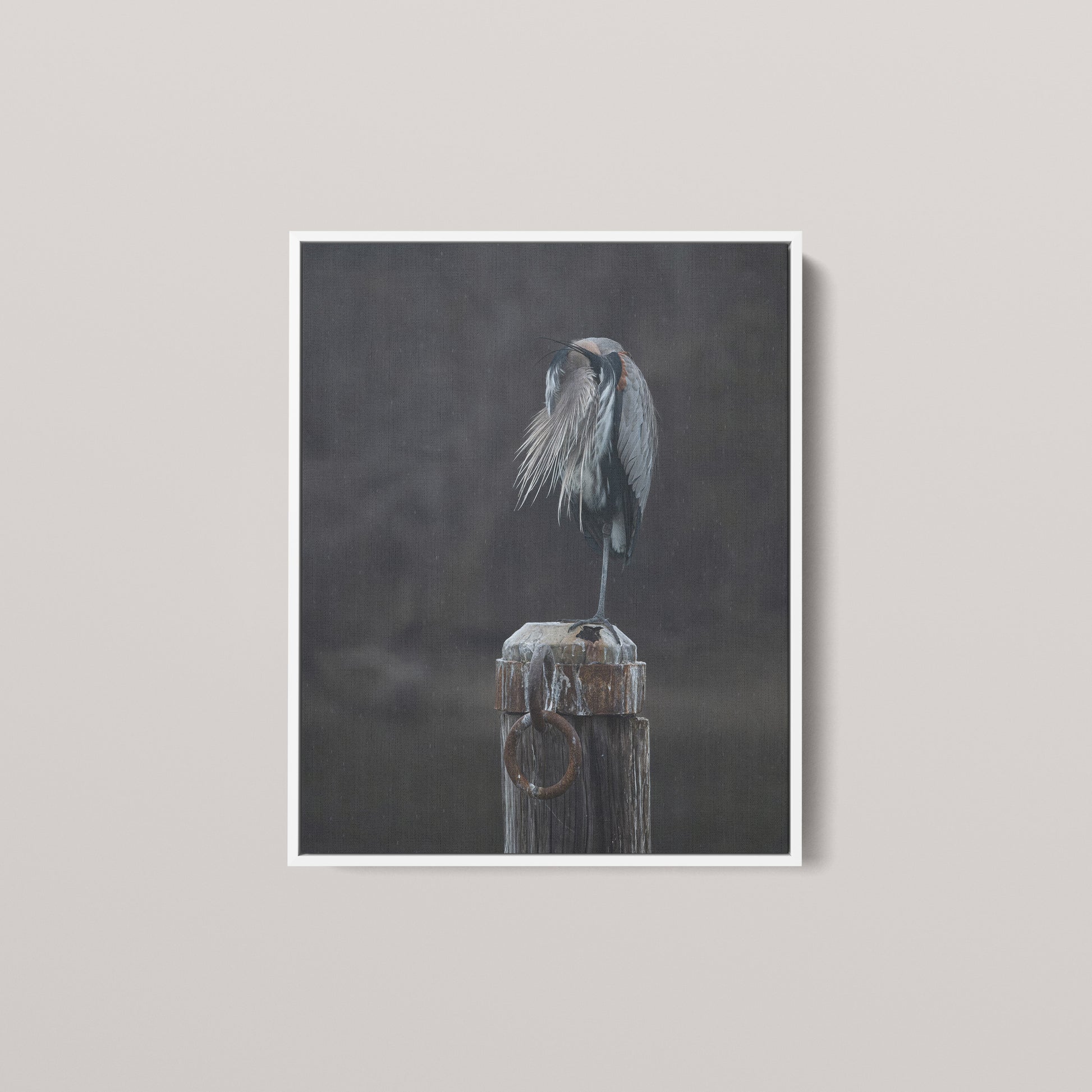 Rainy Day Heron — White framed canvas mockup