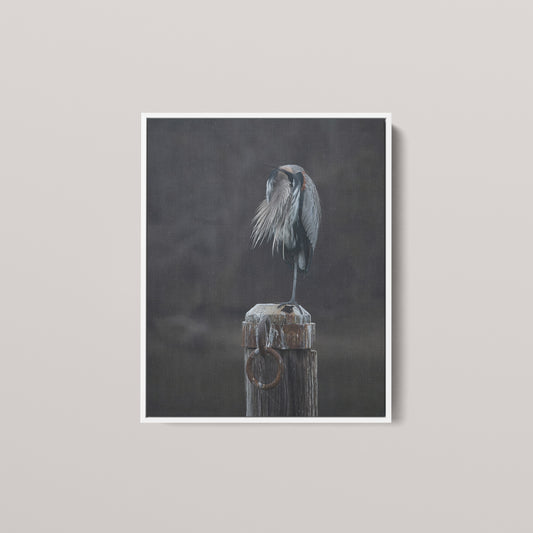 Rainy Day Heron — White framed canvas mockup