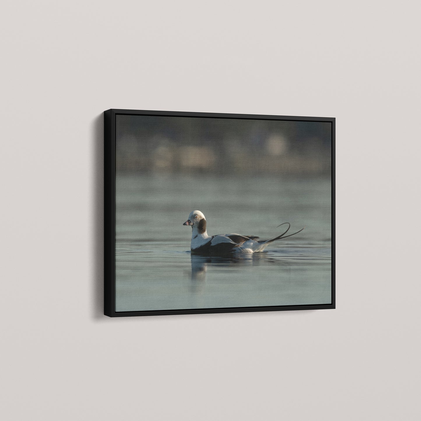 Tail Feather — angled-black view