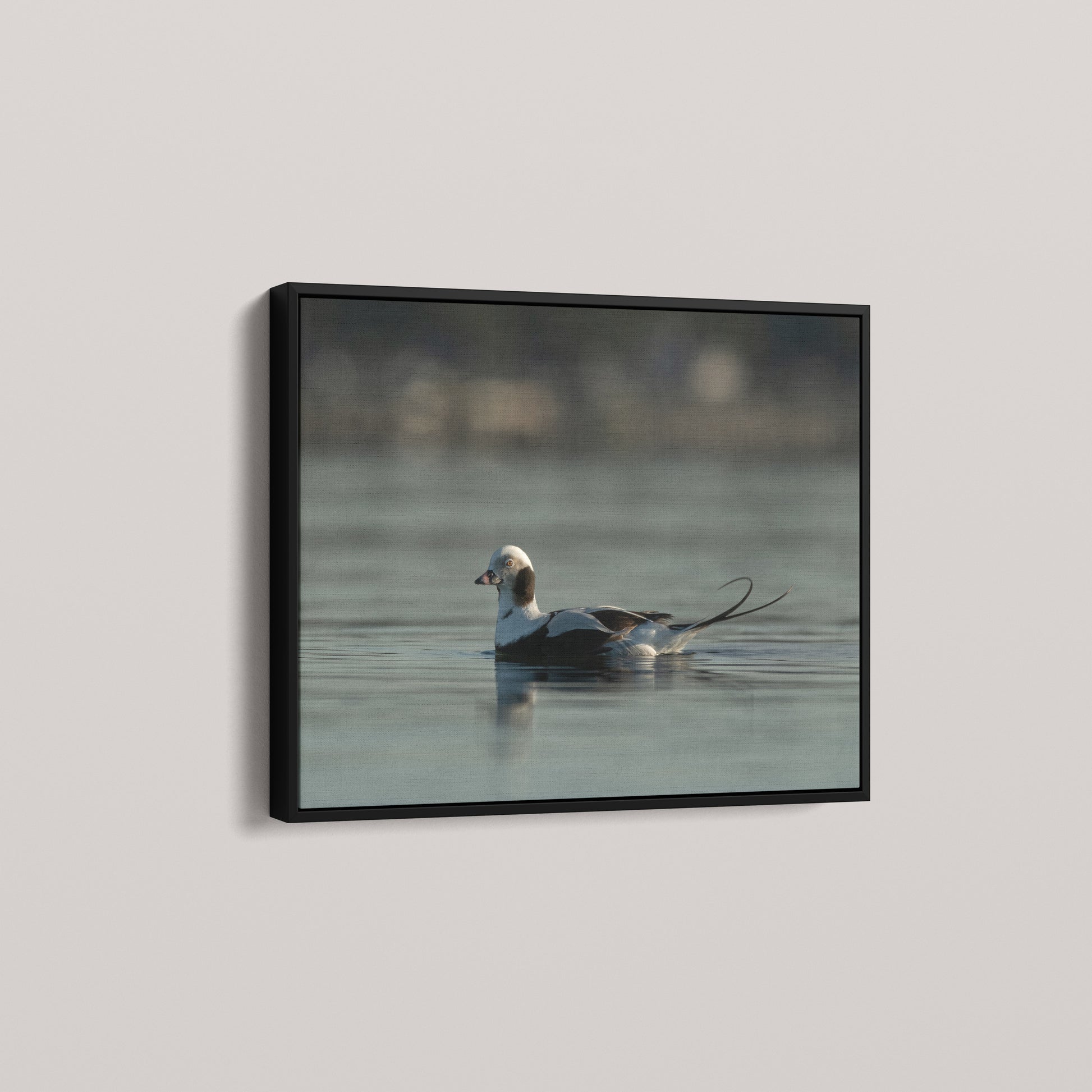 Tail Feather — angled-black view