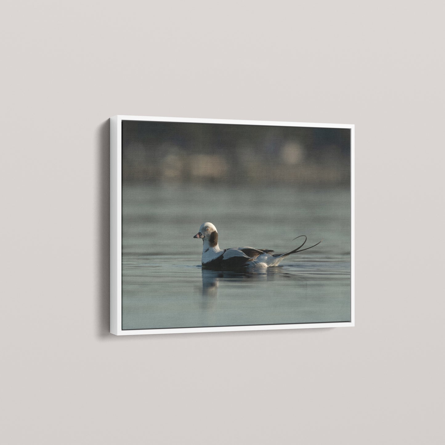 Tail Feather — angled-white view