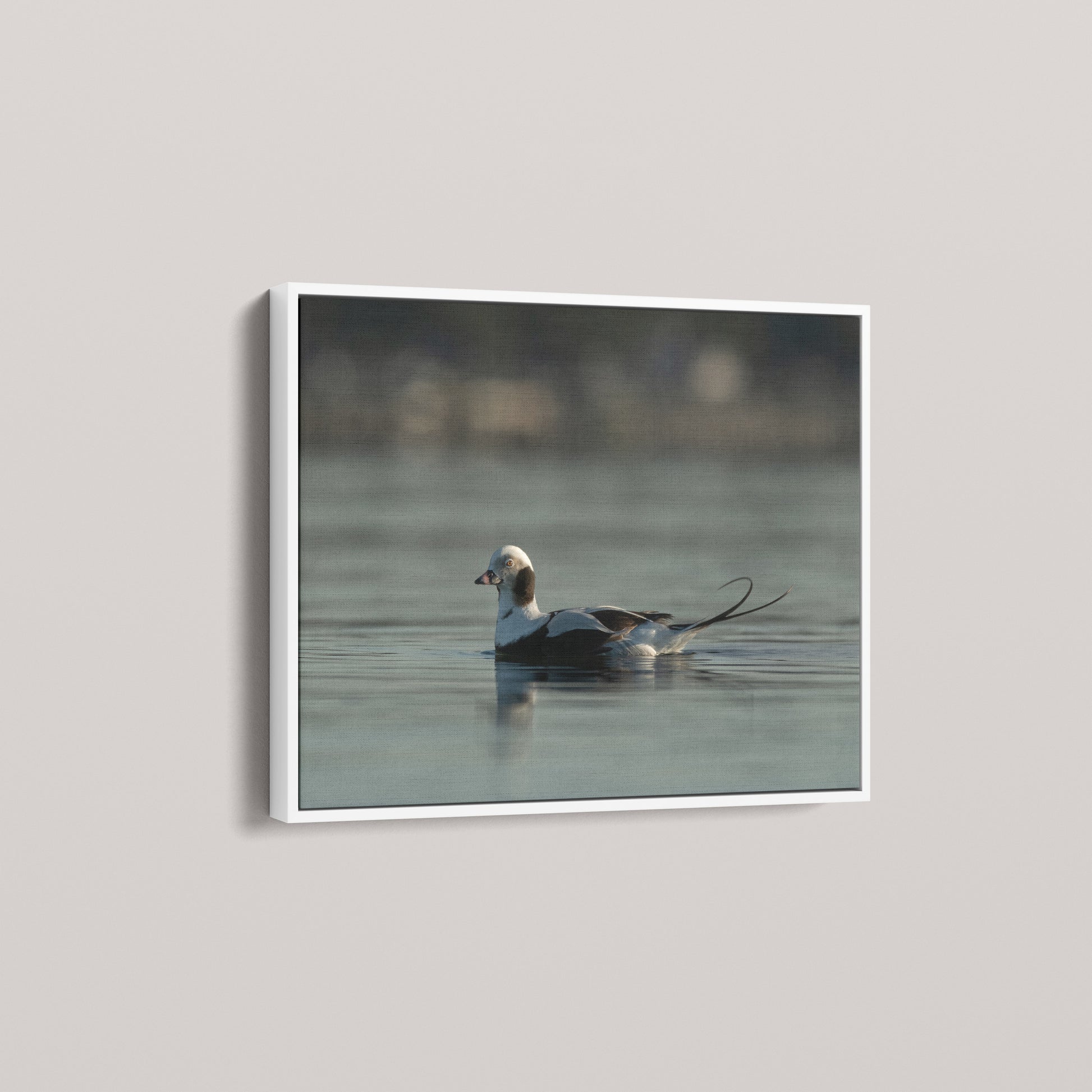 Tail Feather — angled-white view