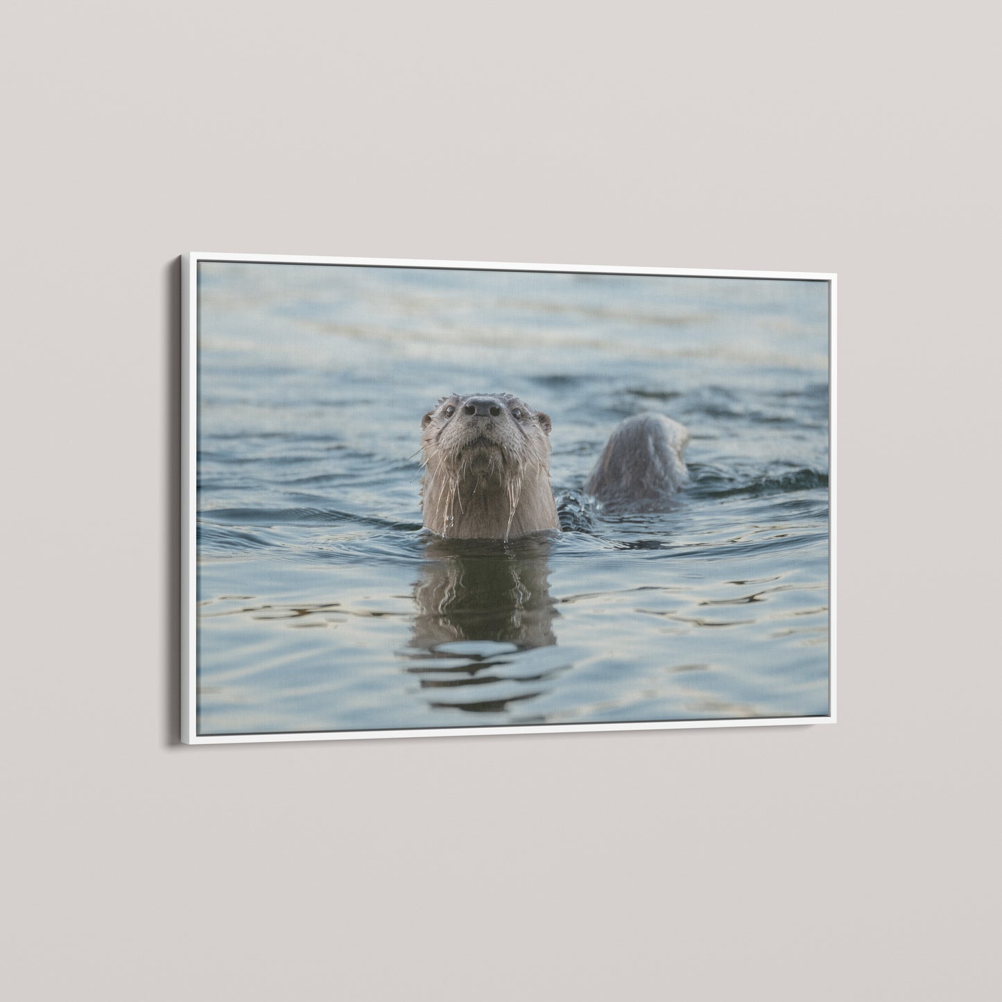 Waterways Wanderer — angled-white view