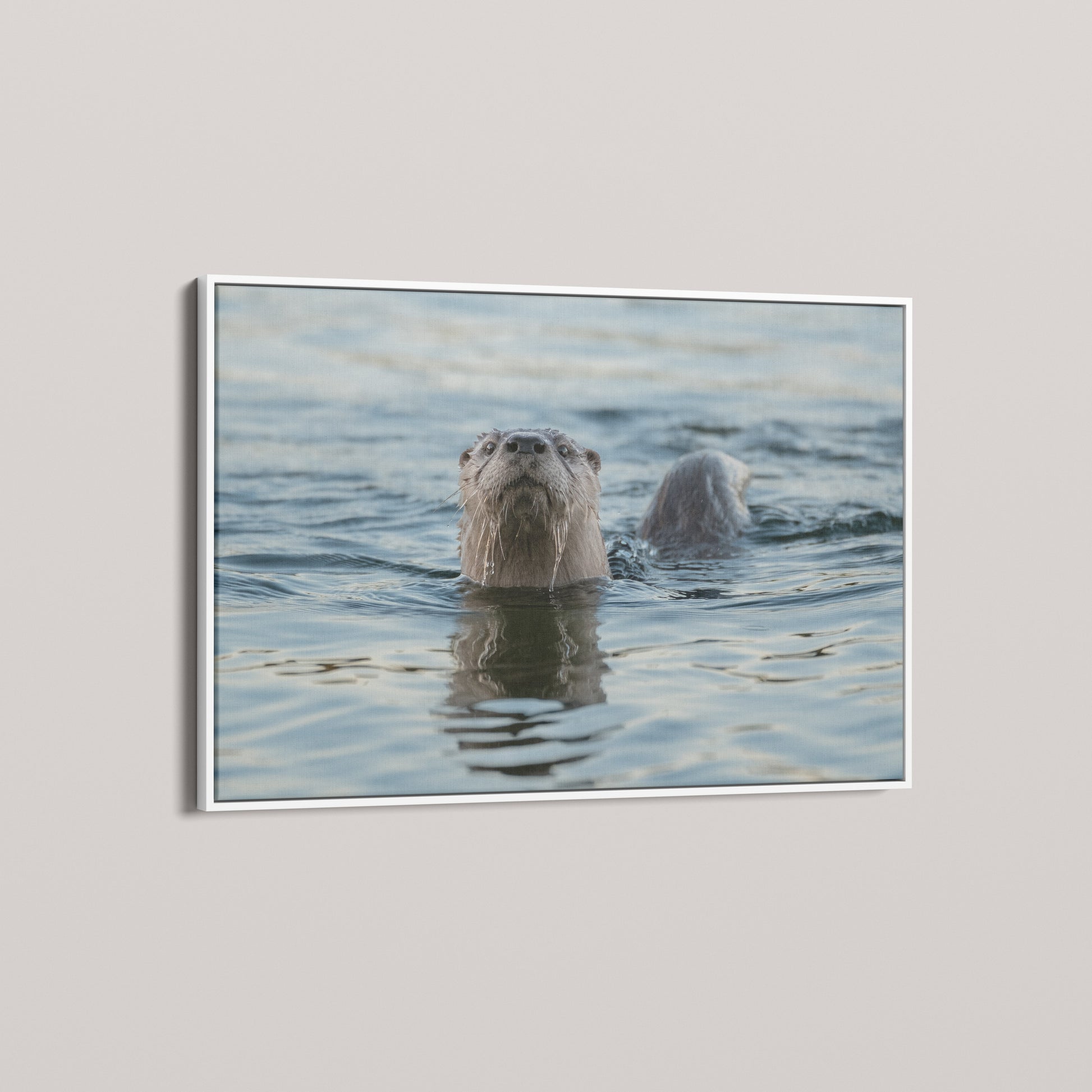 Waterways Wanderer — angled-white view