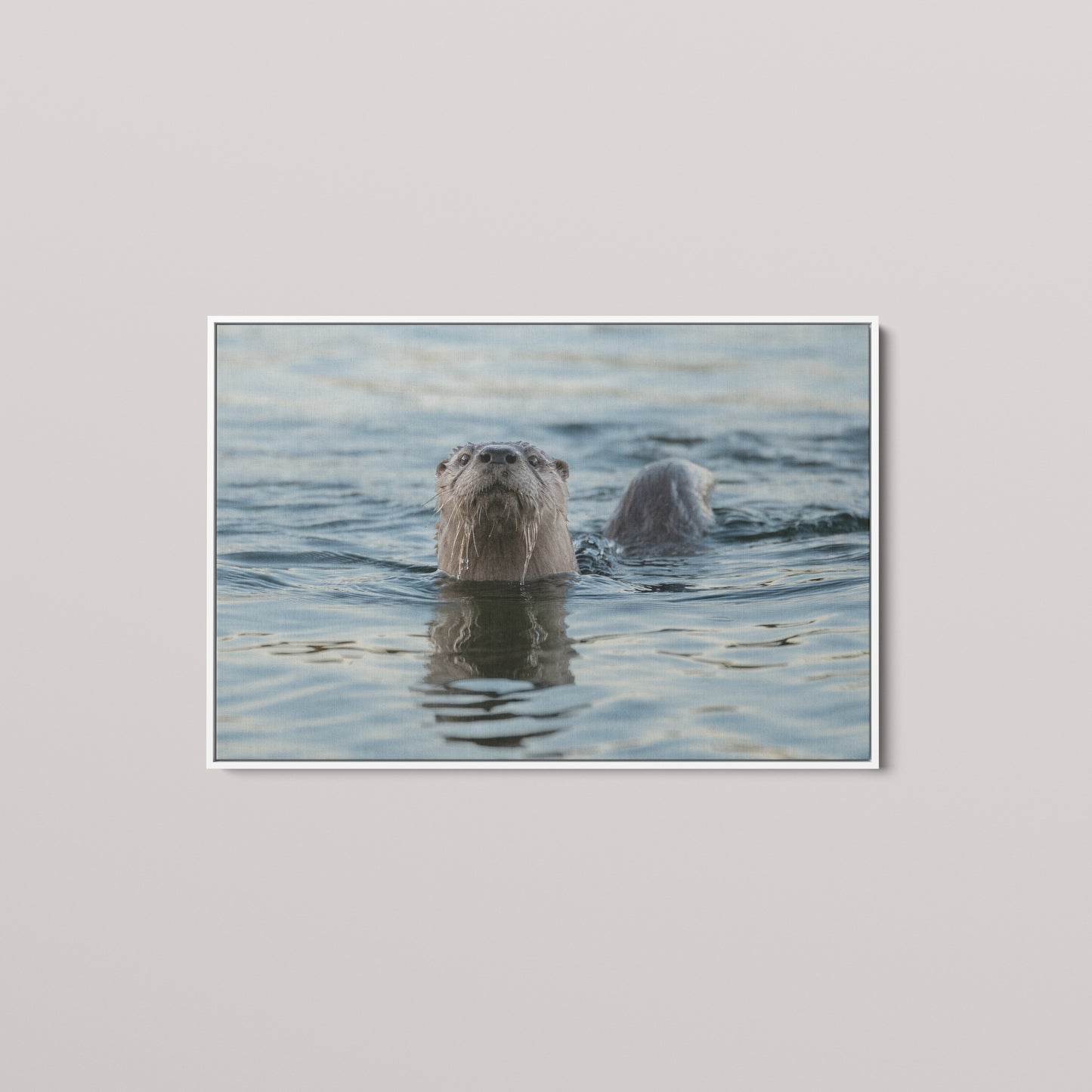 Waterways Wanderer — White framed canvas mockup