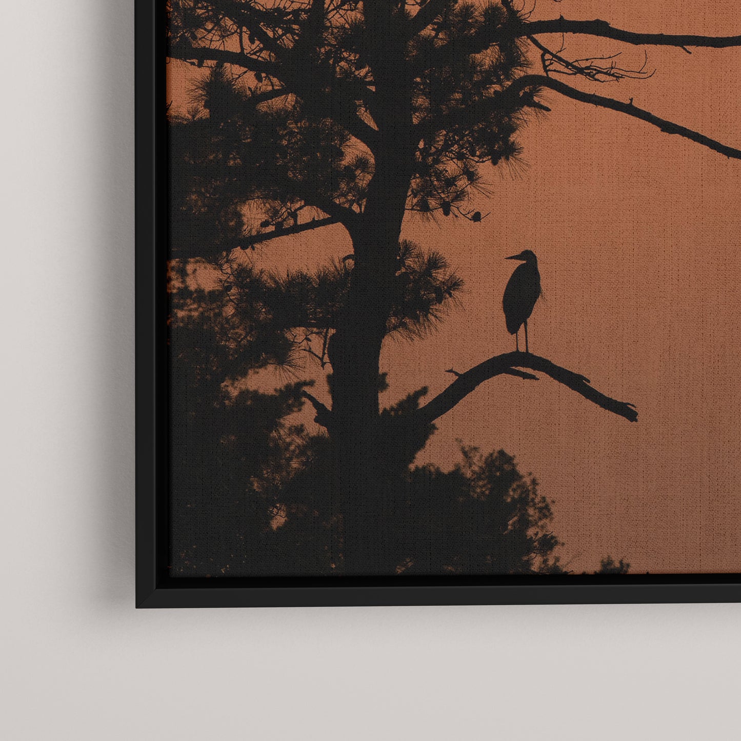 Heron Sunset — closeup1-black view