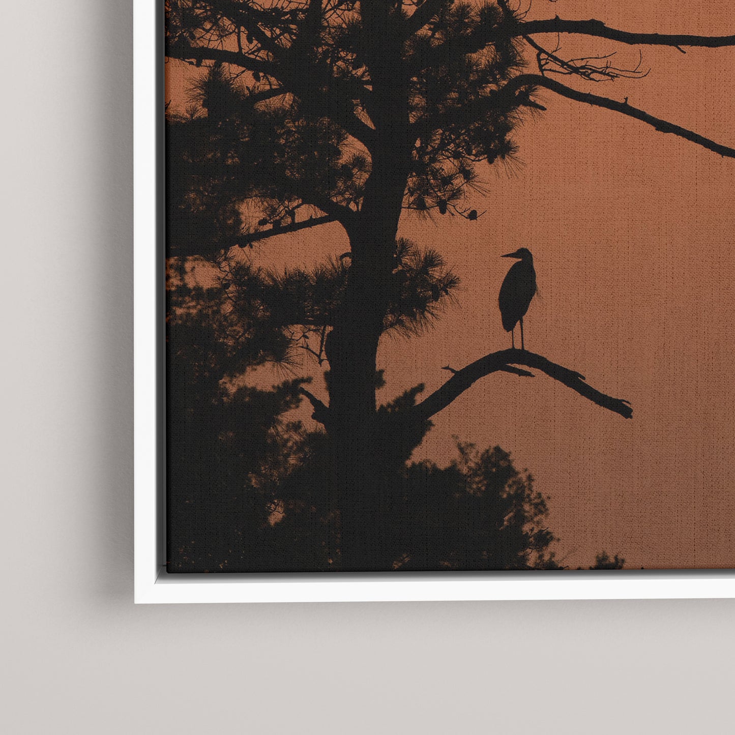 Heron Sunset — closeup1-white view