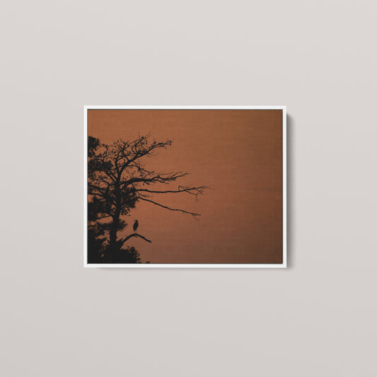 Heron Sunset — White framed canvas mockup