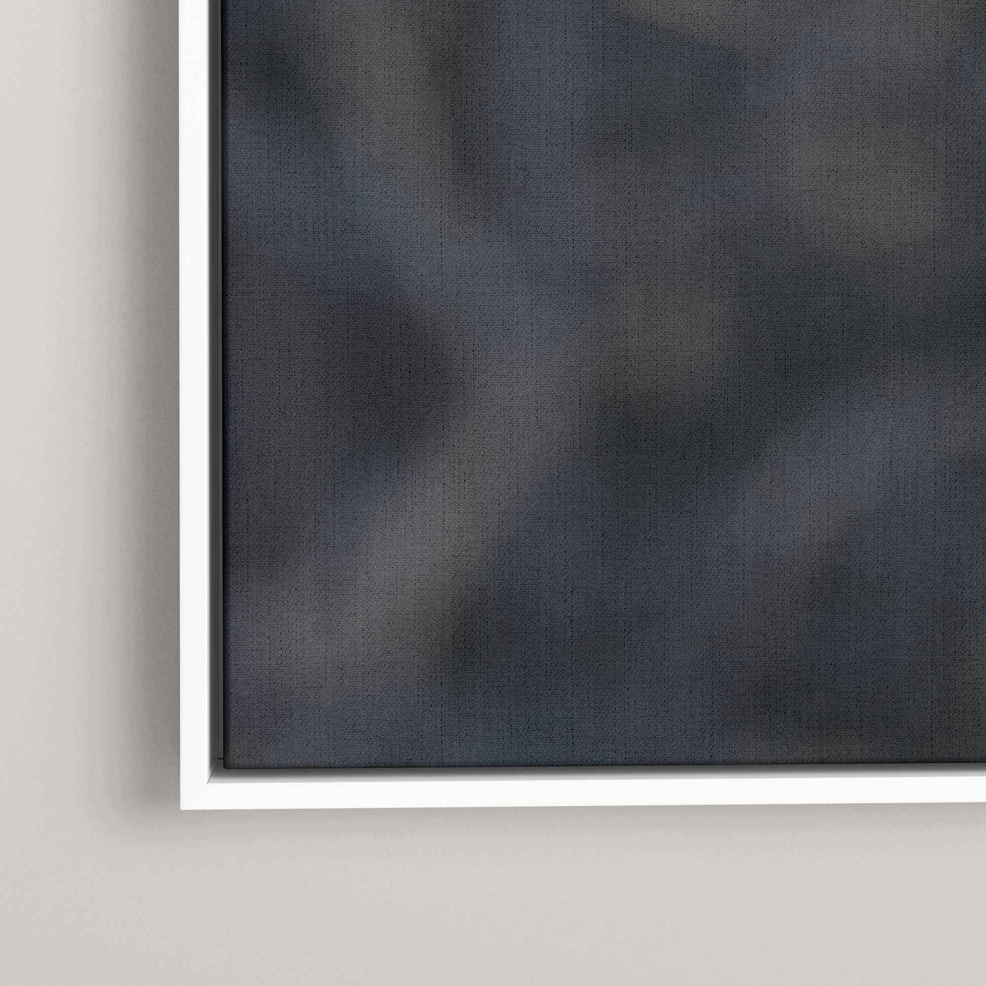 Marsh Ghost — closeup1-white view