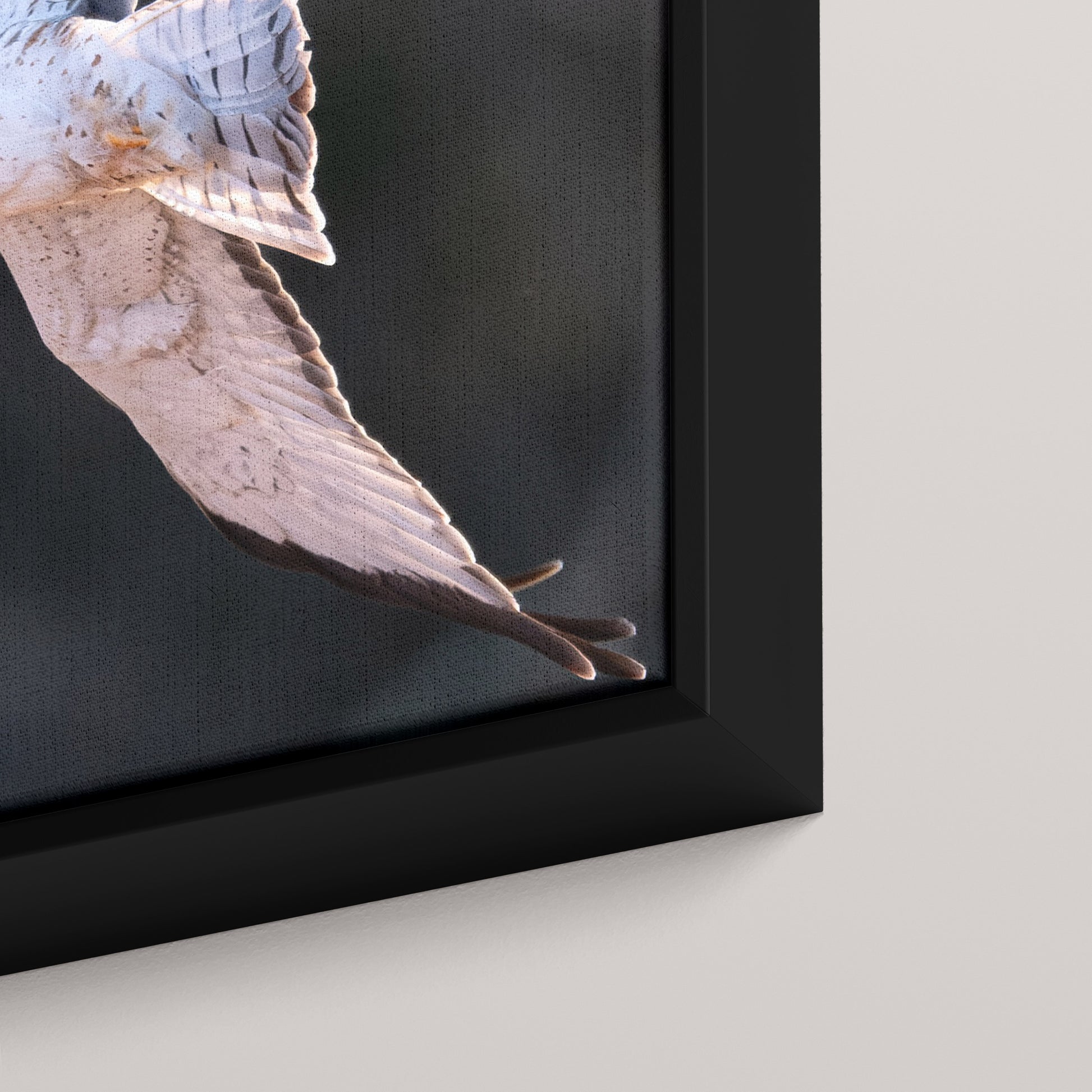 Marsh Ghost — closeup3-black view