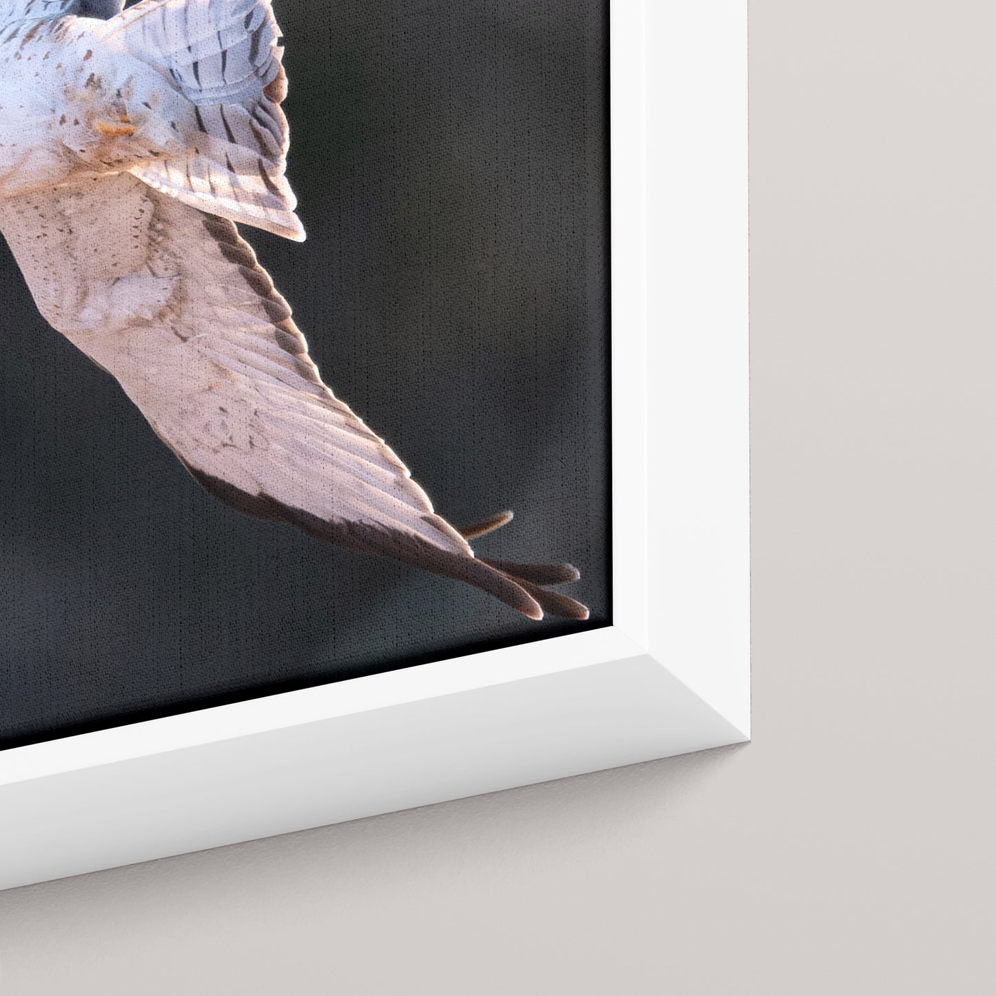 Marsh Ghost — closeup3-white view