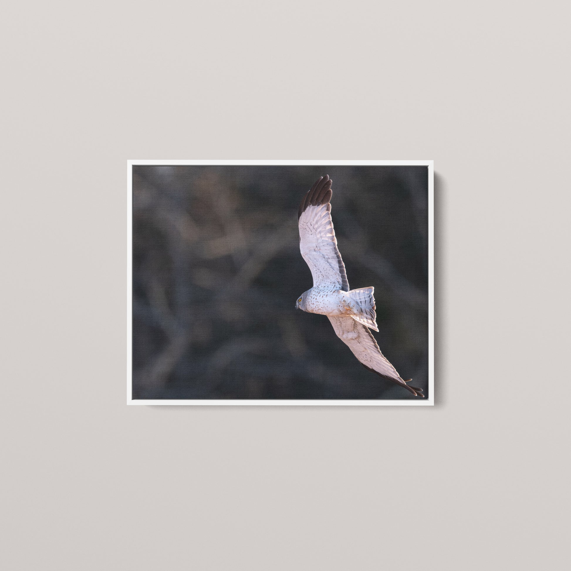 Marsh Ghost — White framed canvas mockup