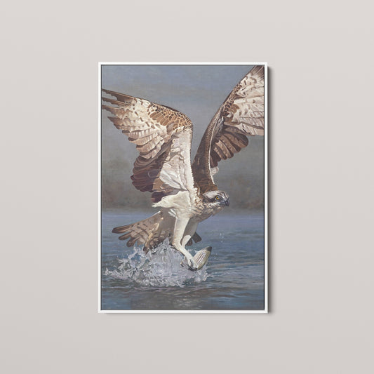 Osprey with Rockfish (1 of 50 Limited Edition)